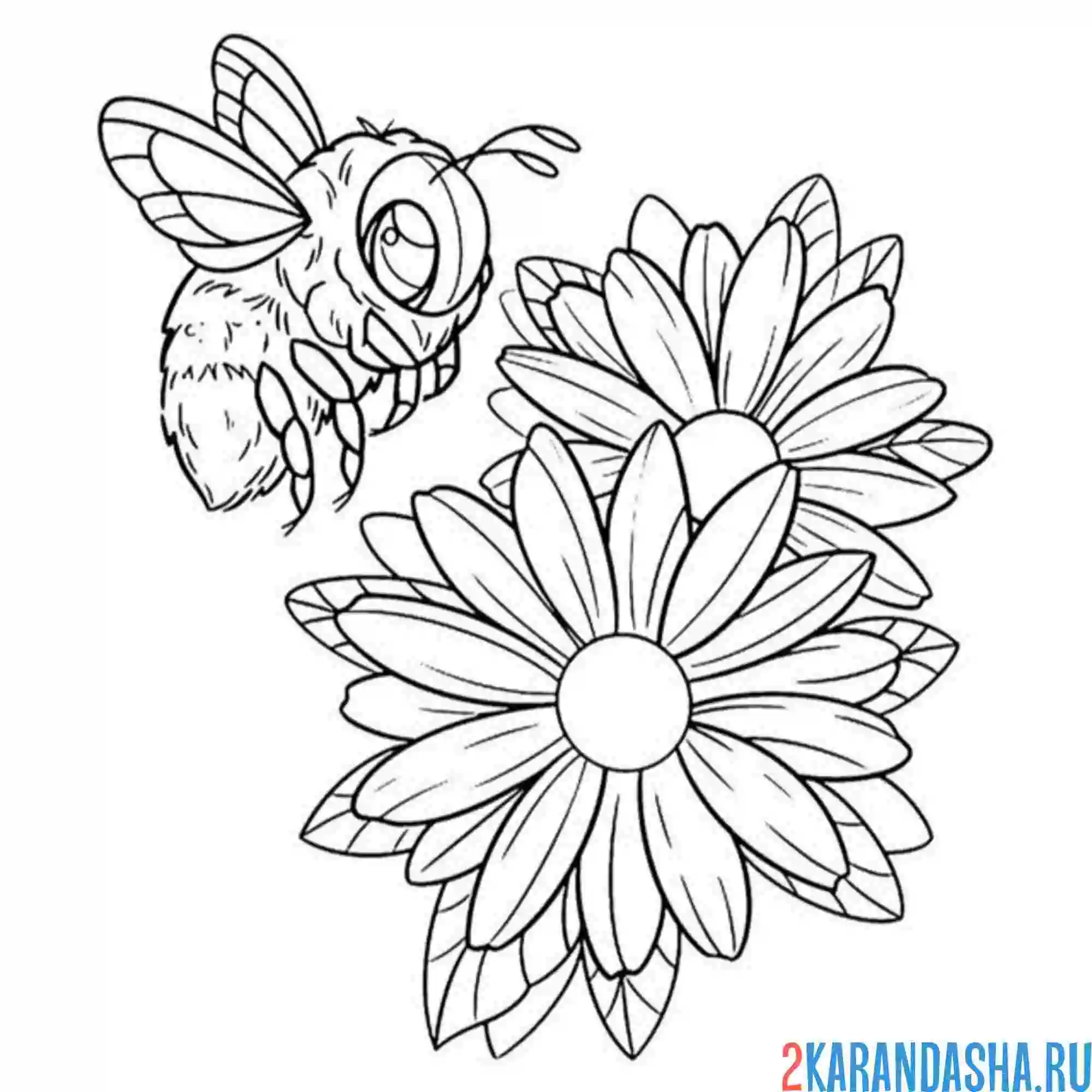 Раскраска эстетика природа цветы