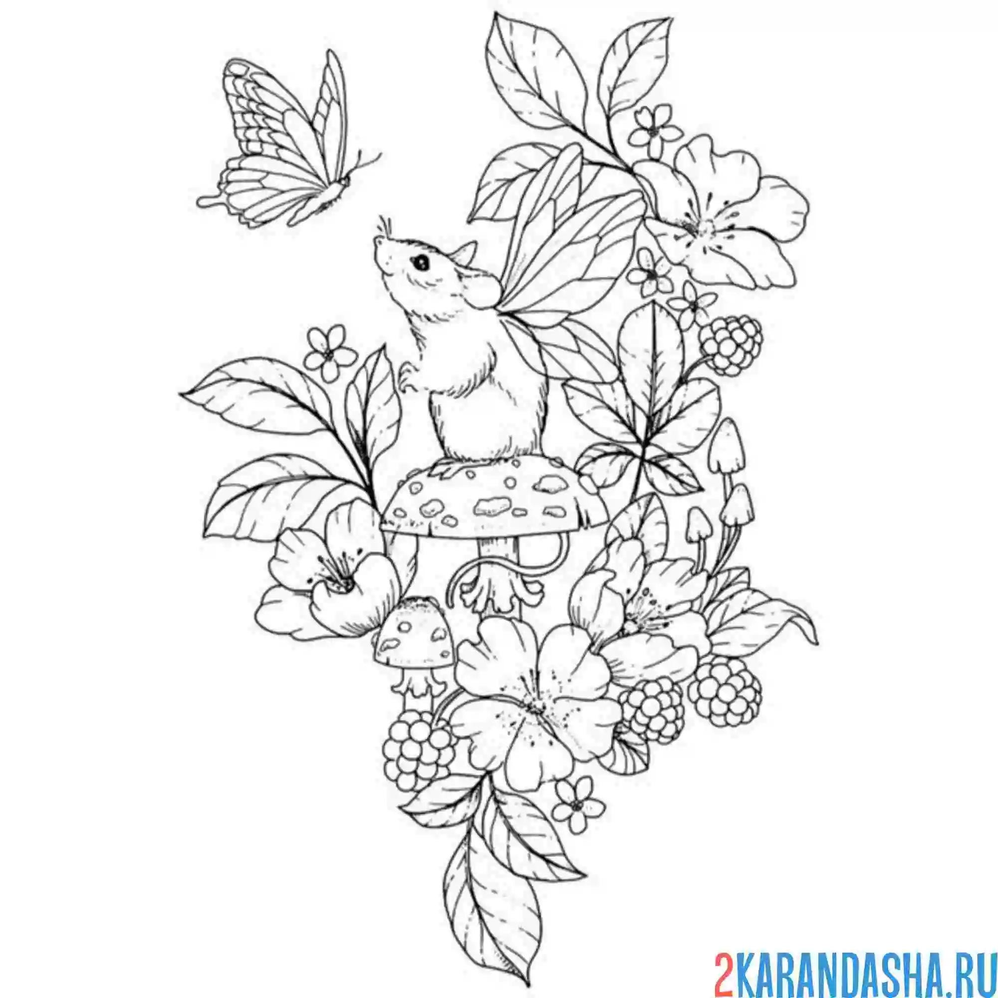 Раскраска эстетика цветы и грызун
