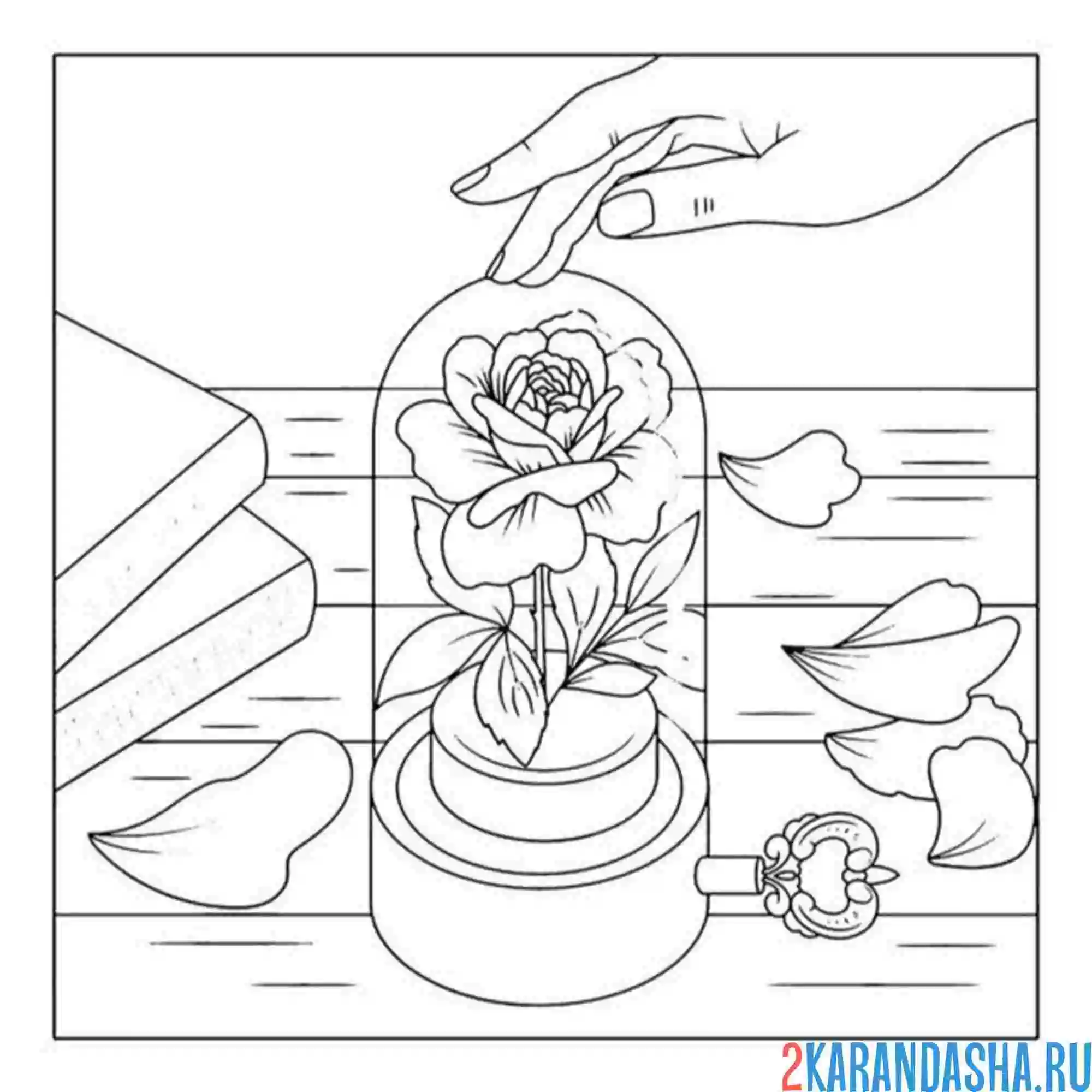 Раскраска роза под колпаком эстетика