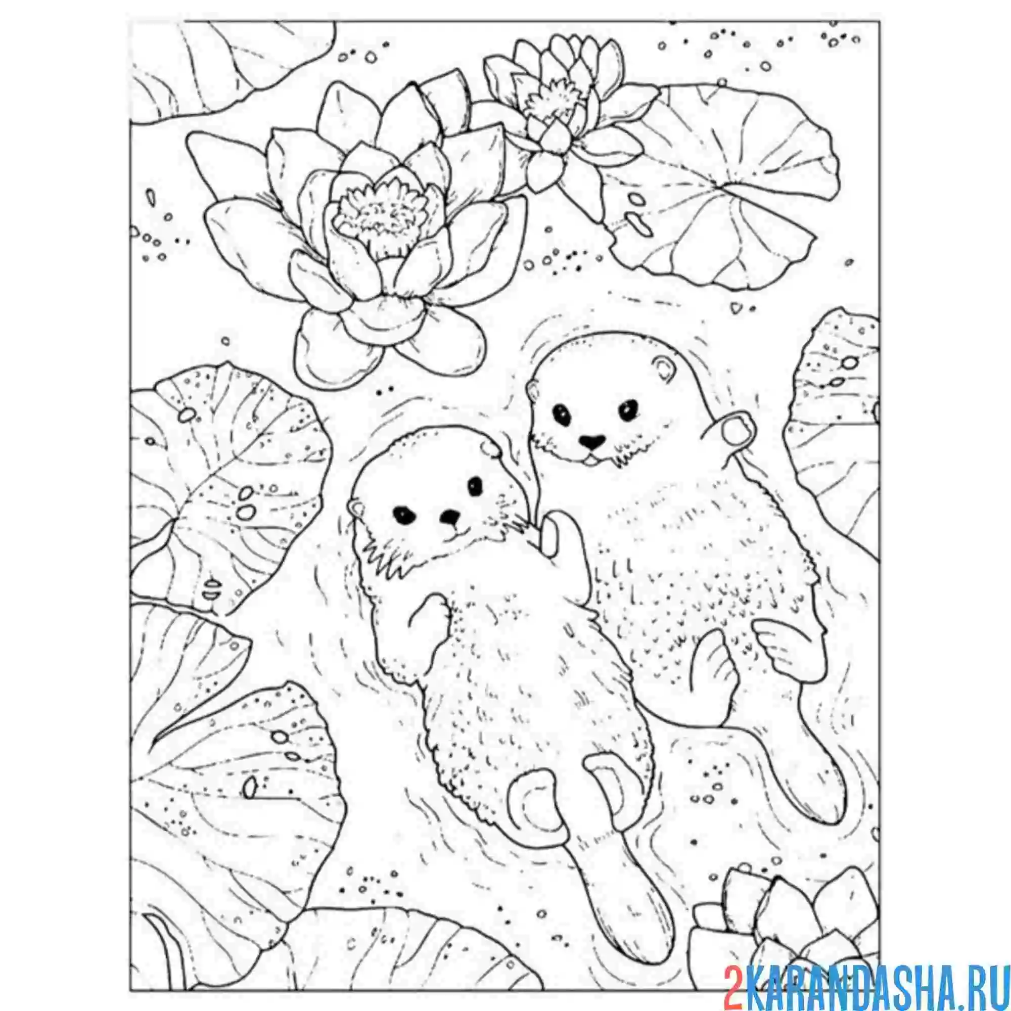 Раскраска эстетика две выдрочки