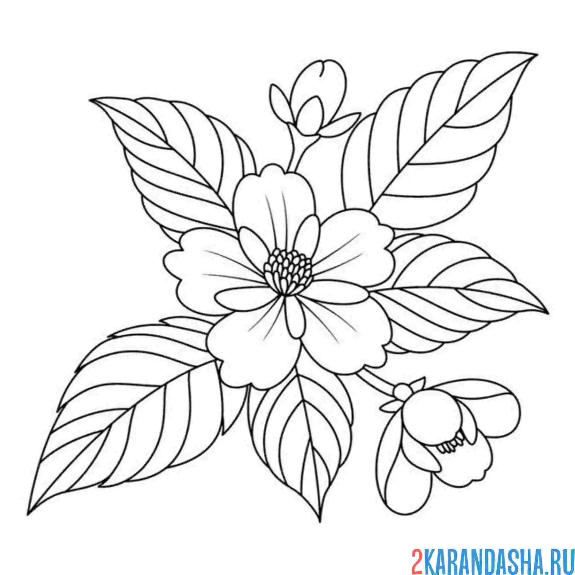 Раскраска эстетика цветочек
