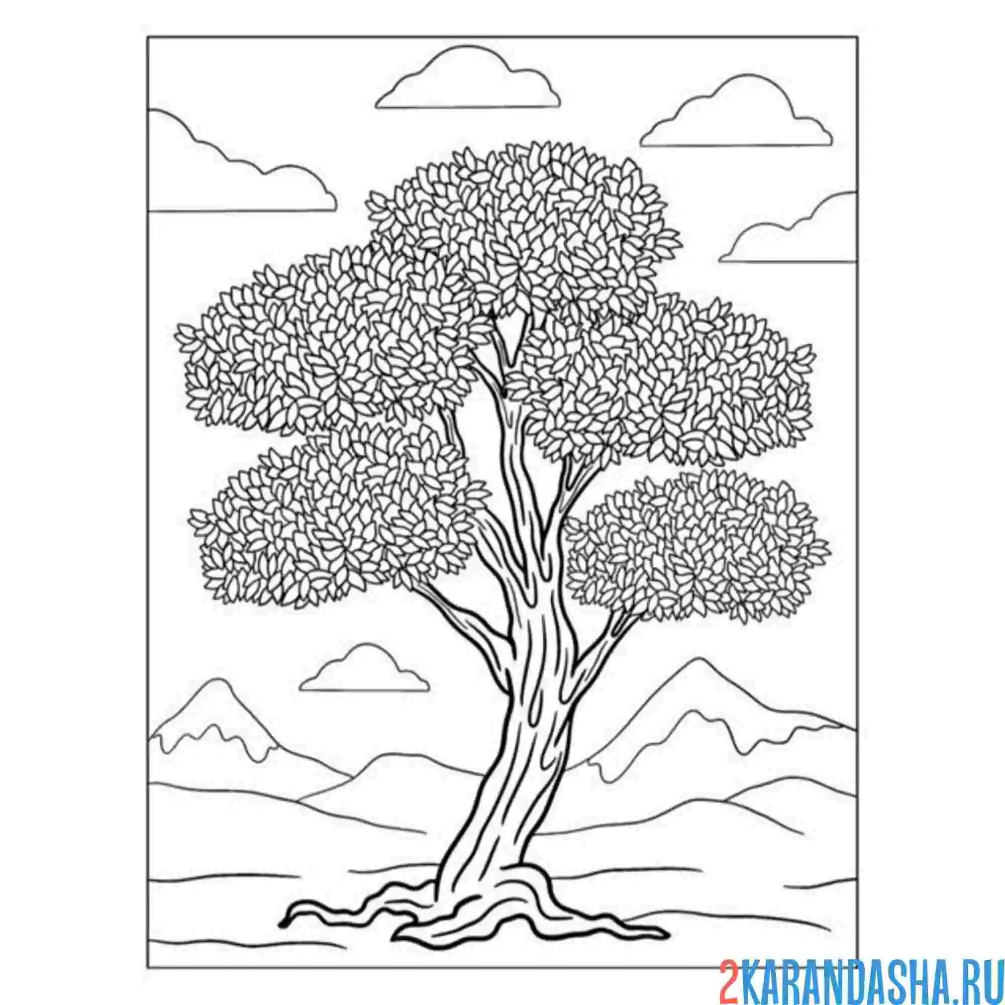 Раскраска африканское дерево