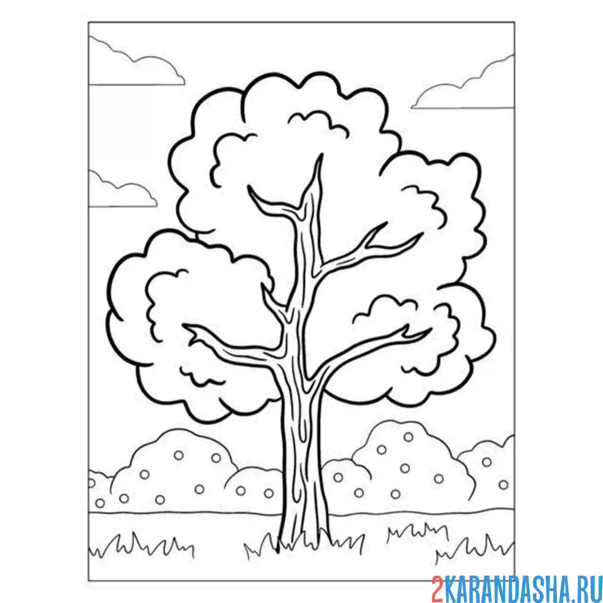 Раскраска летнее дерево