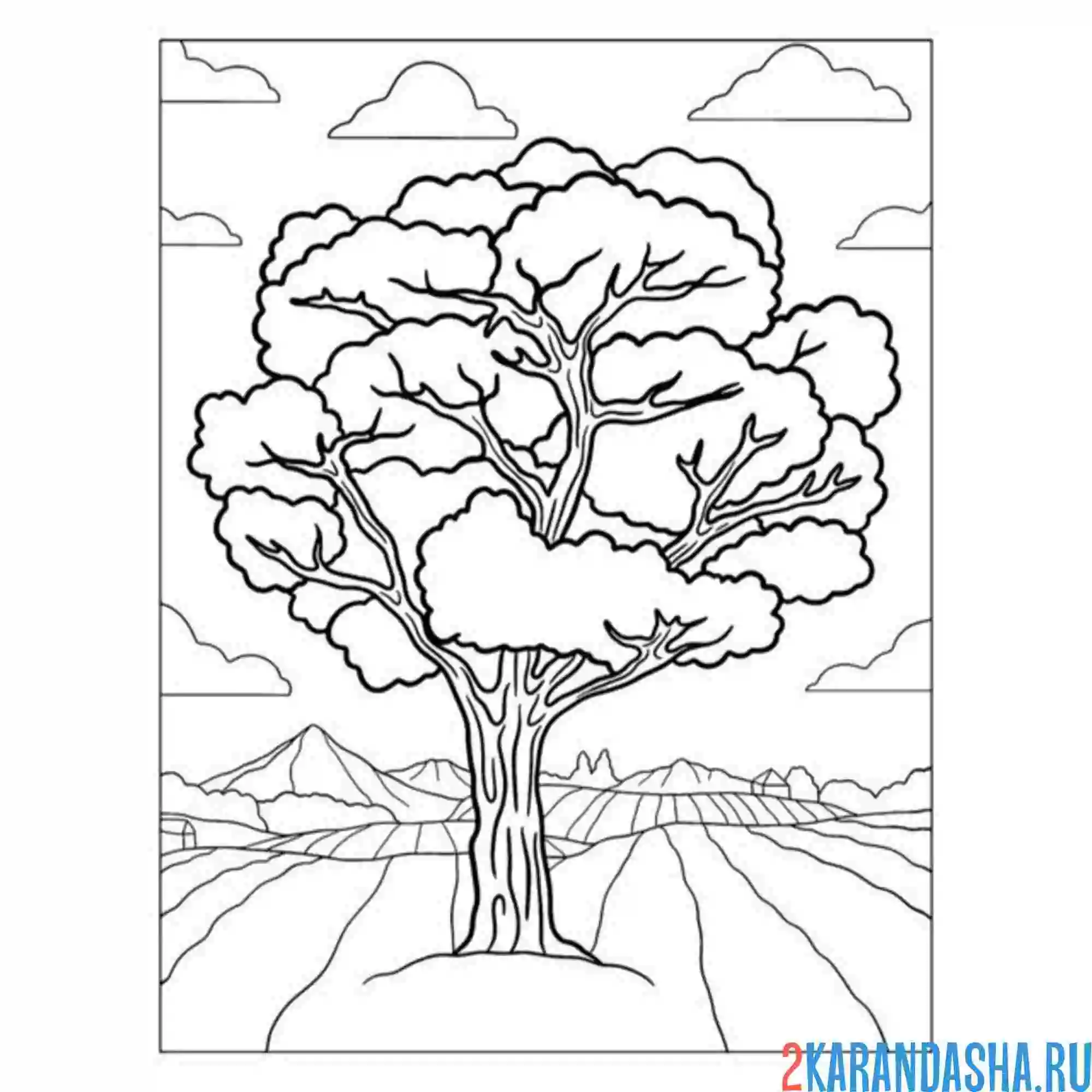 Раскраска горное дерево
