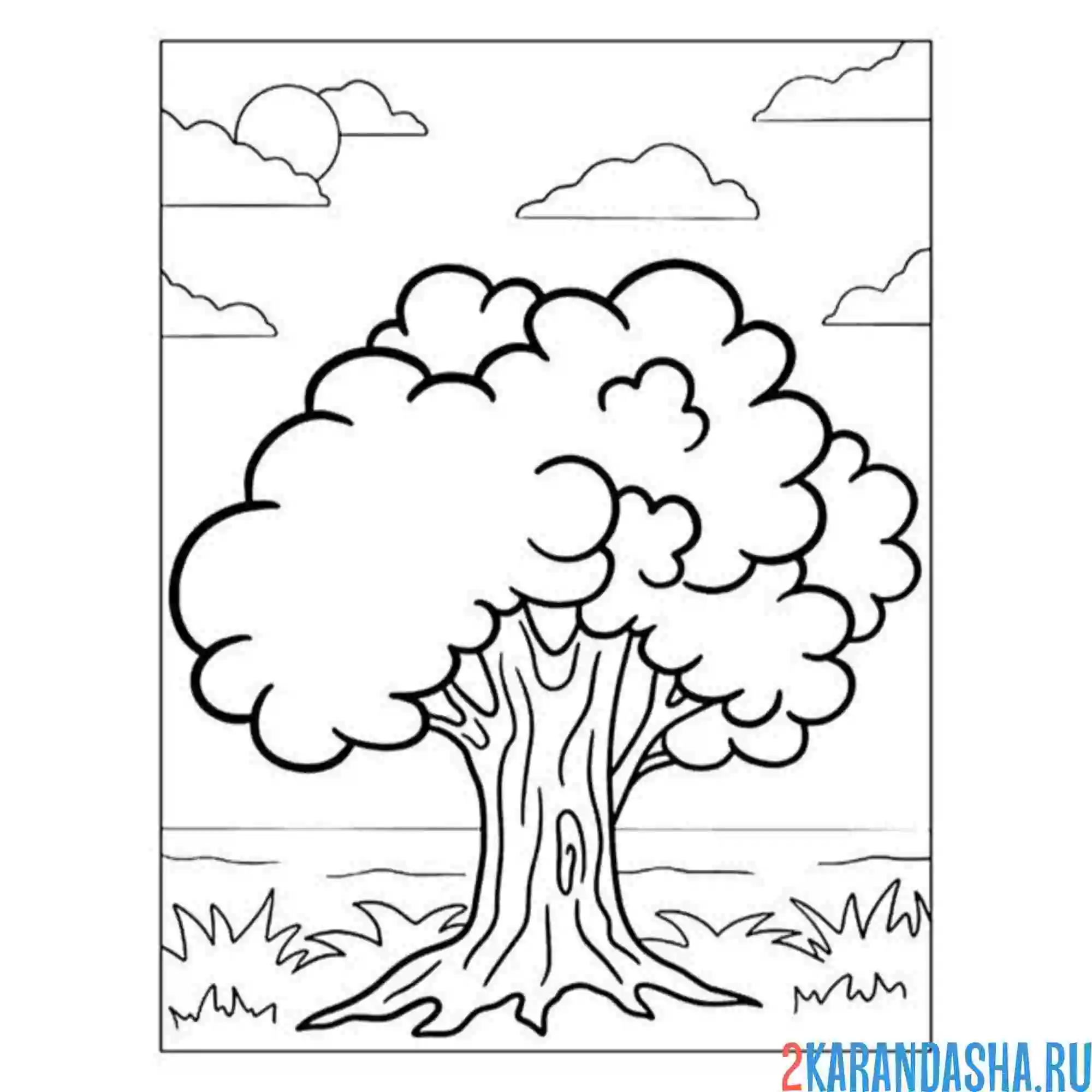 Раскраска большой дуб дерево
