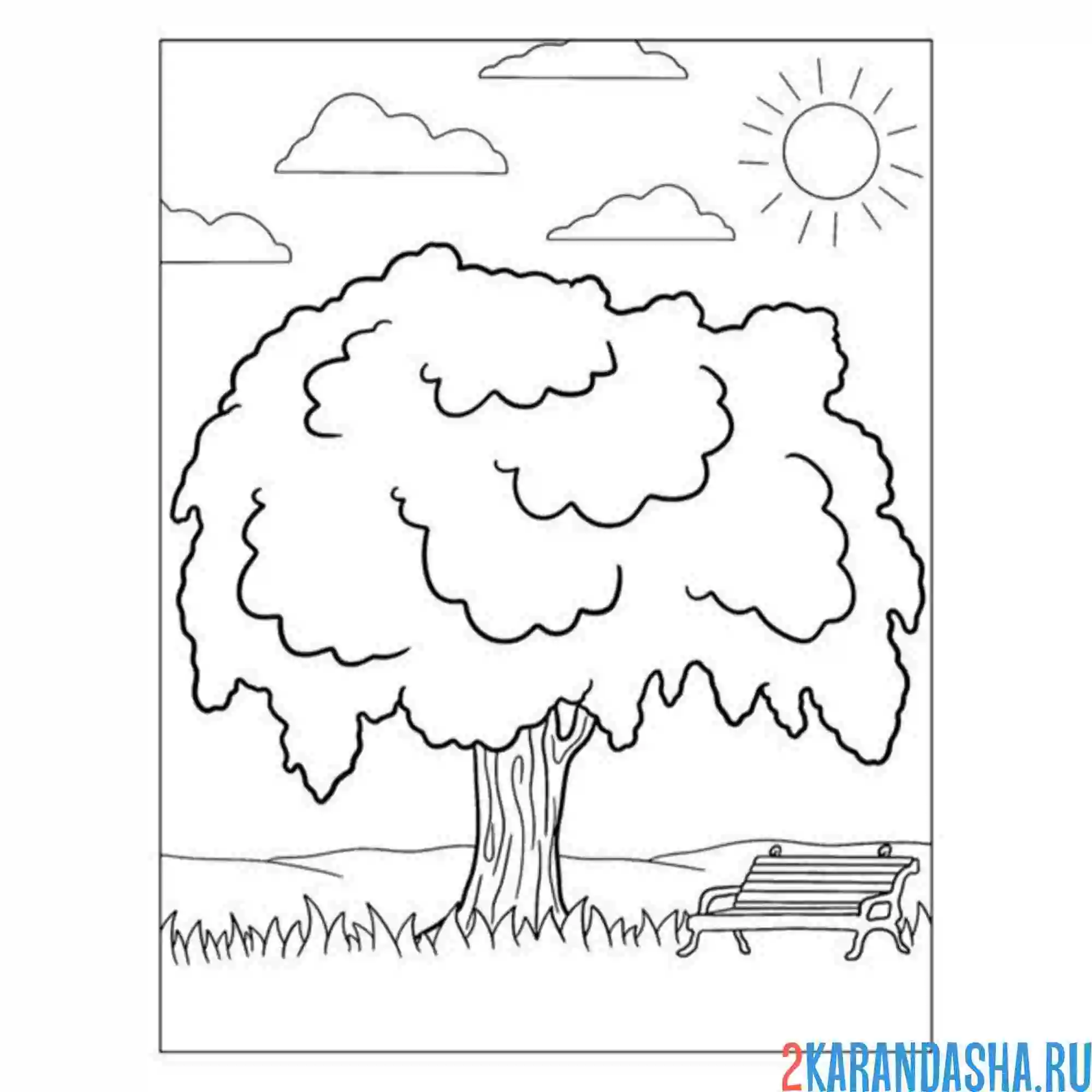 Раскраска плакучая ива дерево