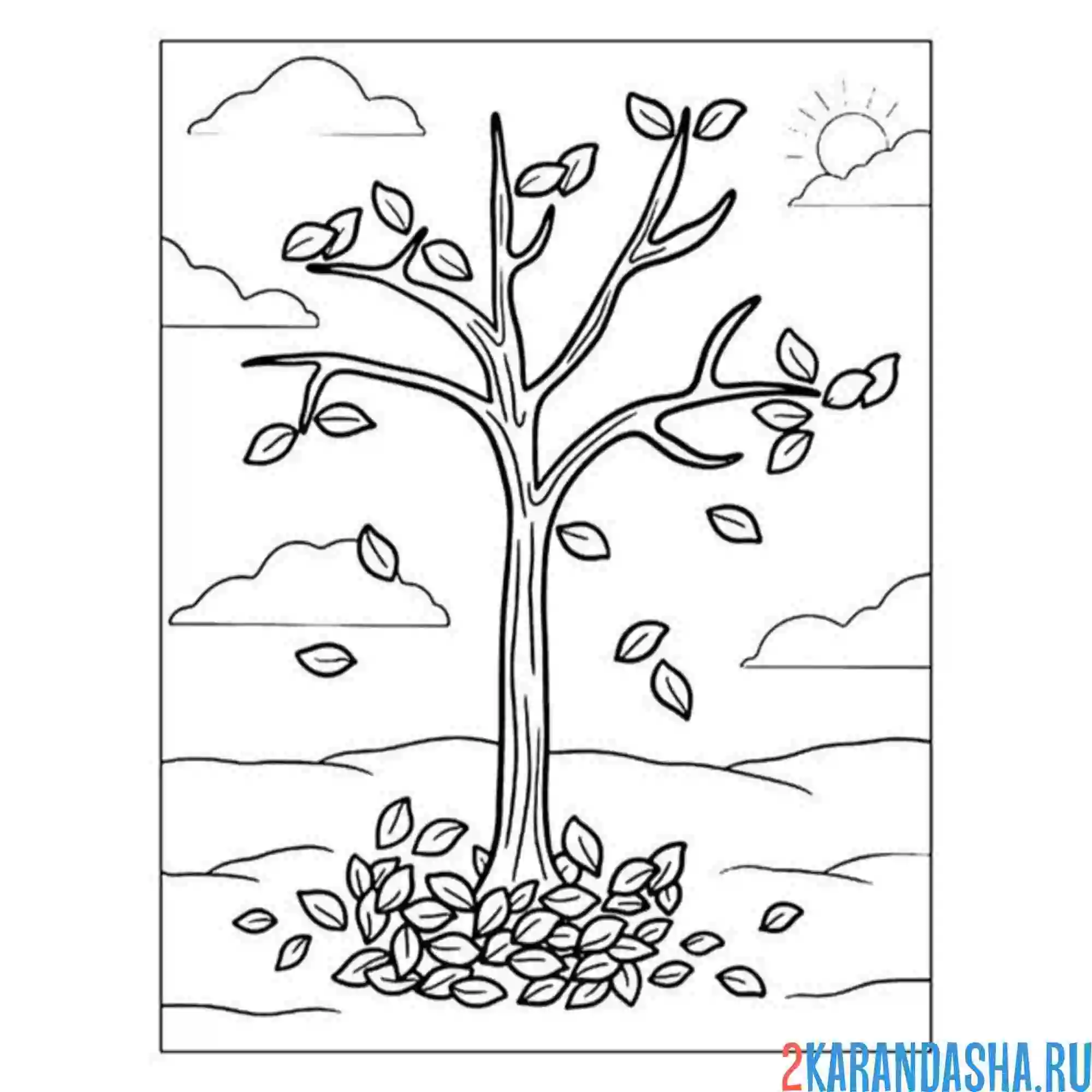 Раскраска опали листья с дерева