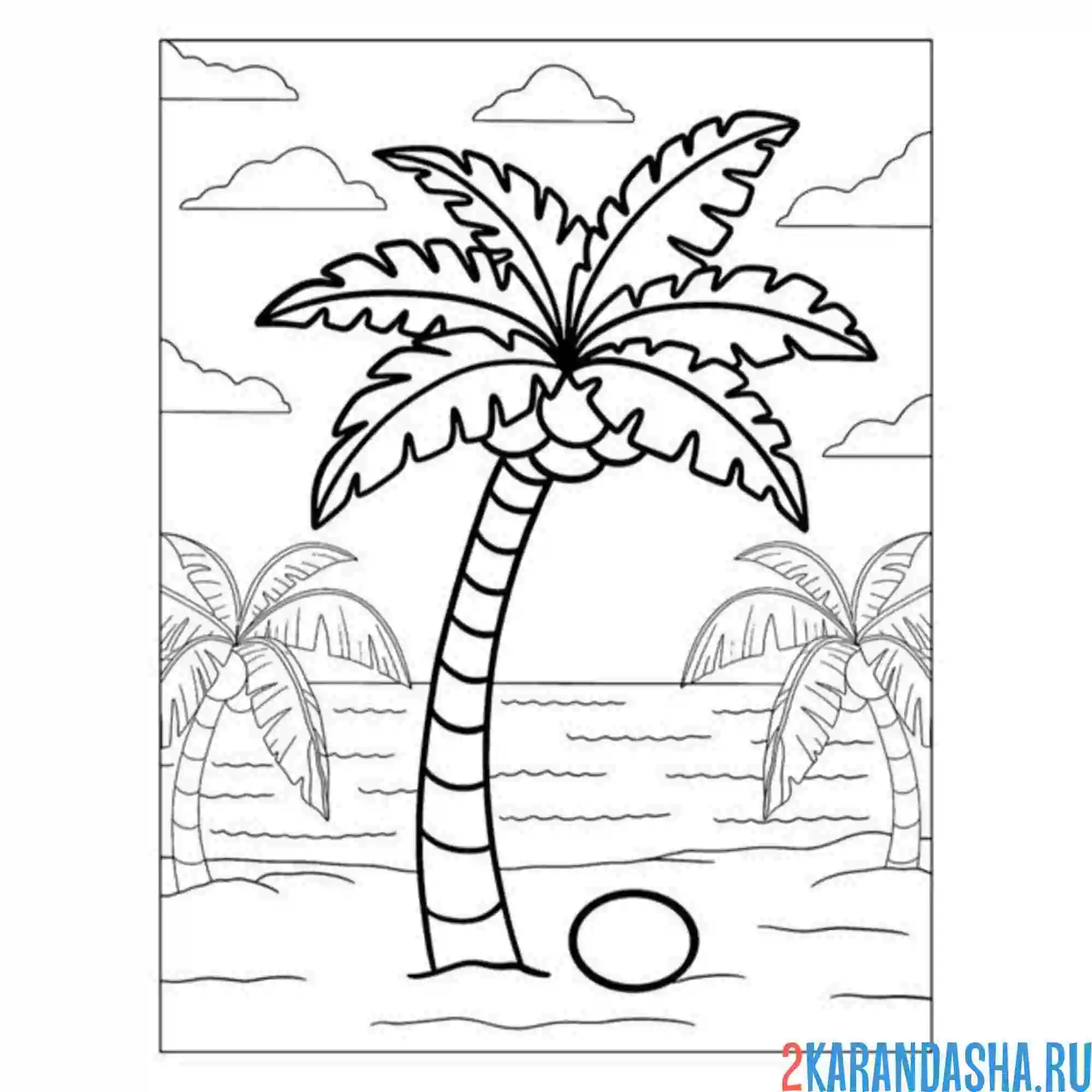 Раскраска дерево жарких стран пальма