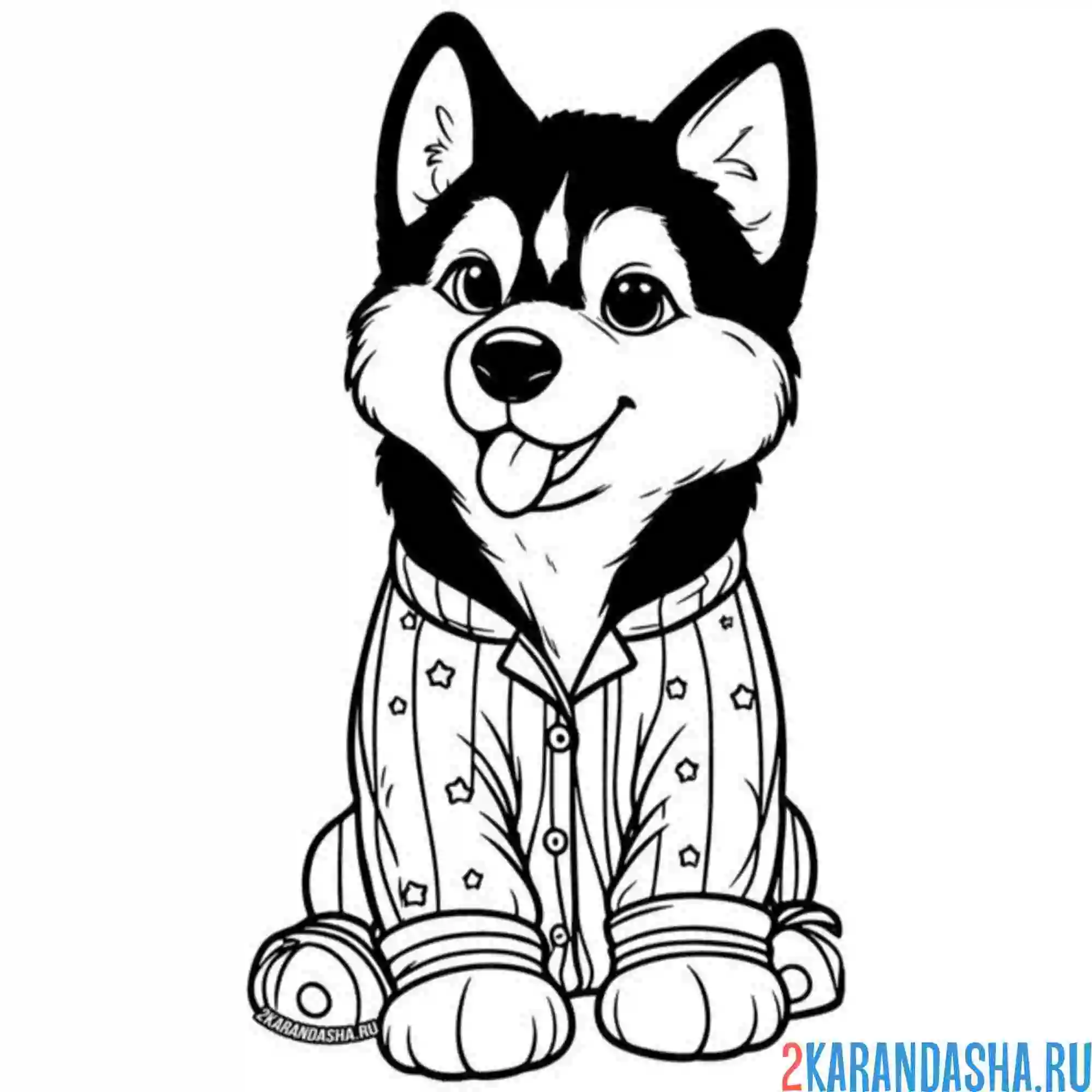 Раскраска хаски щенок в пижаме