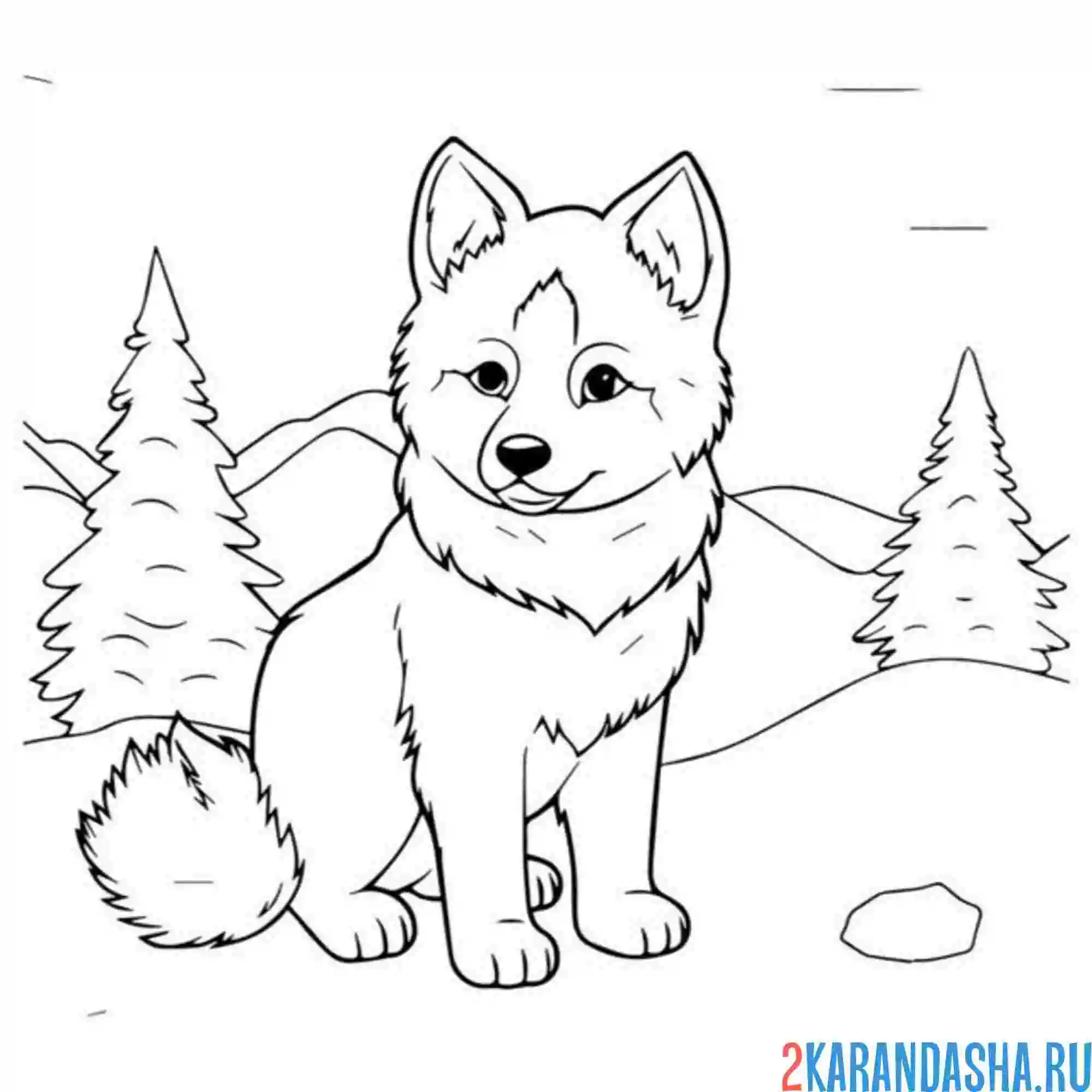 Раскраска хаски в елках