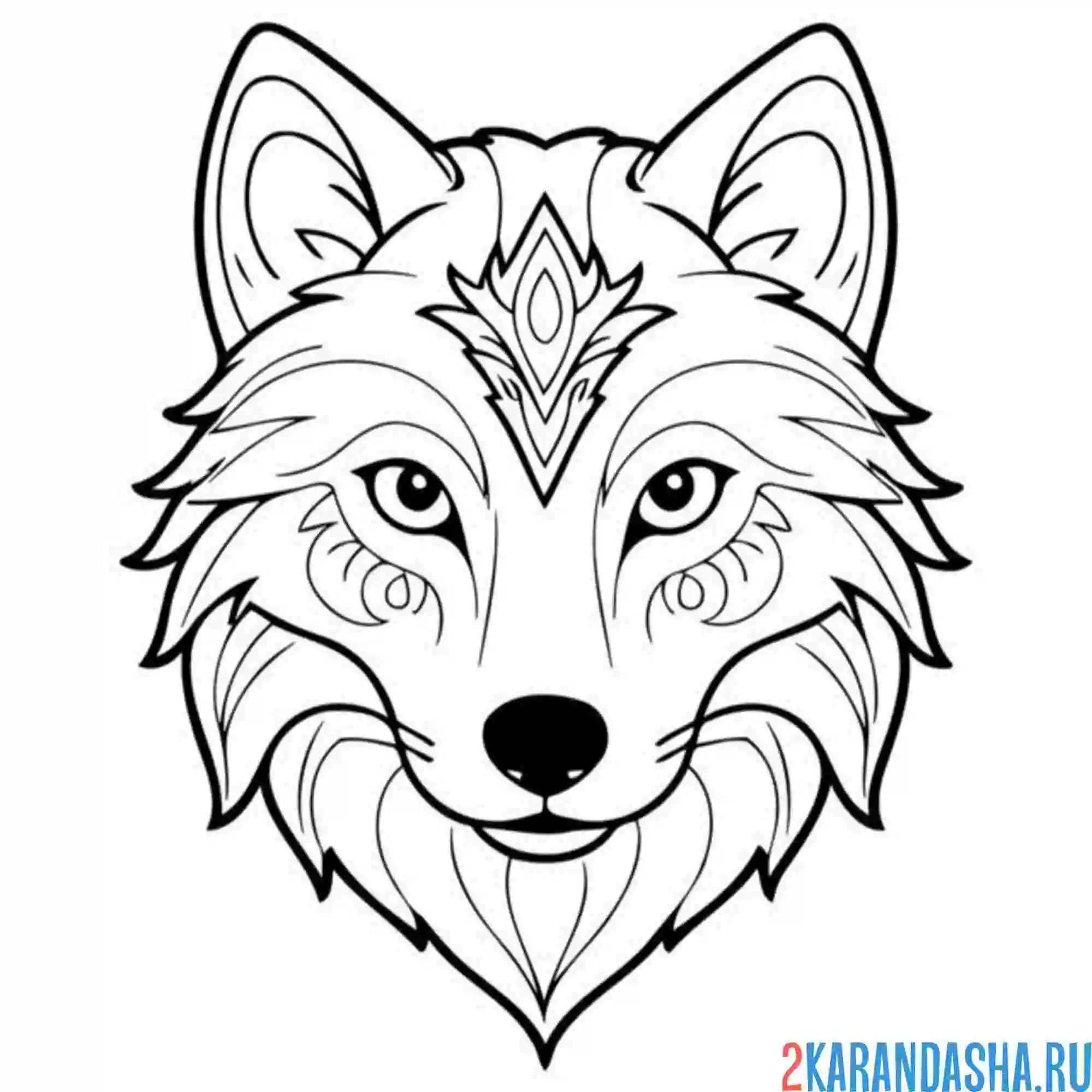 Раскраска голова хаски