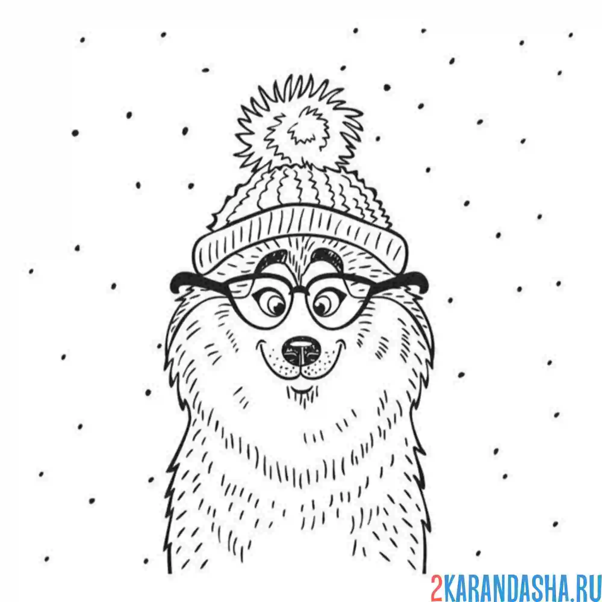 Раскраска хаски в шапке