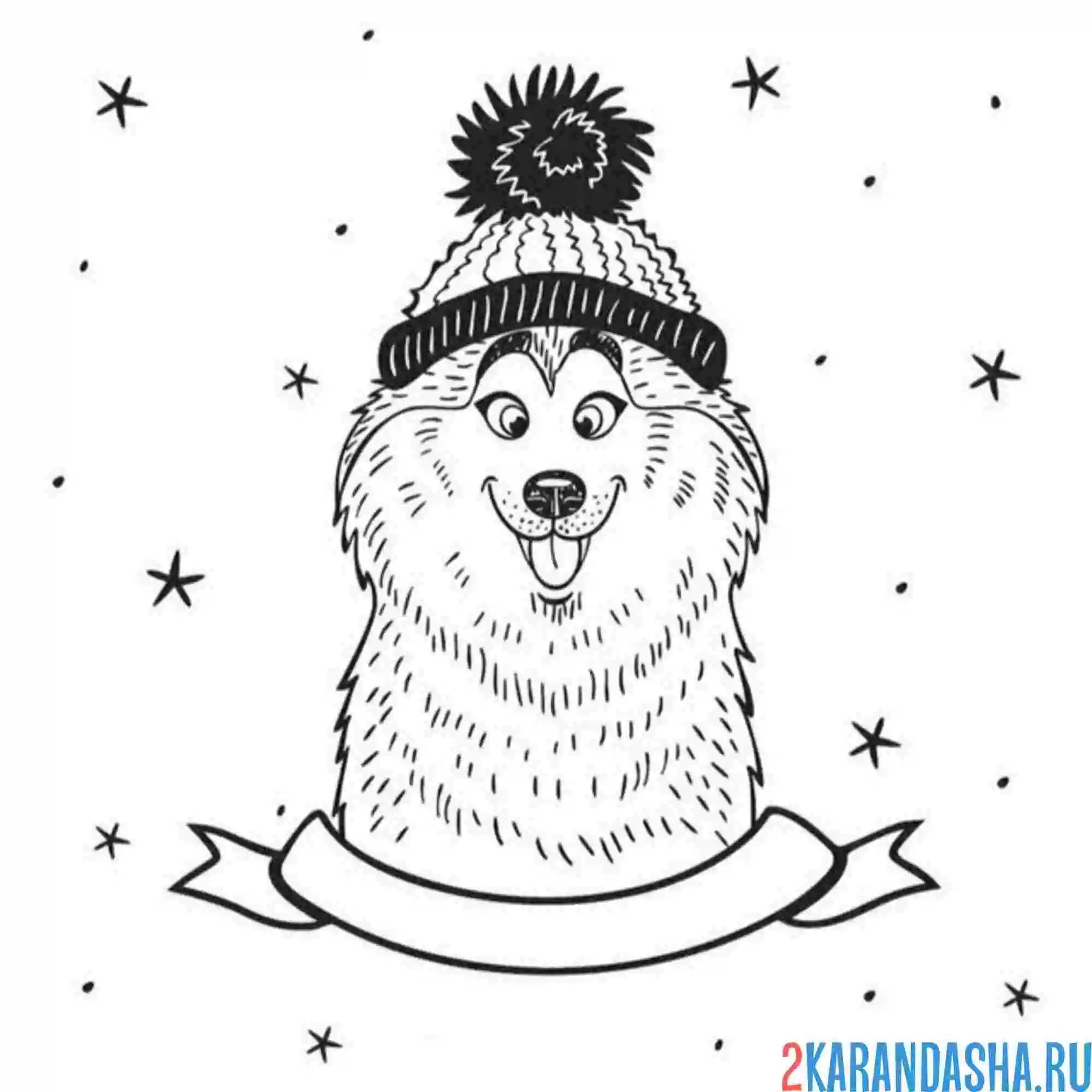 Раскраска зимний хаски