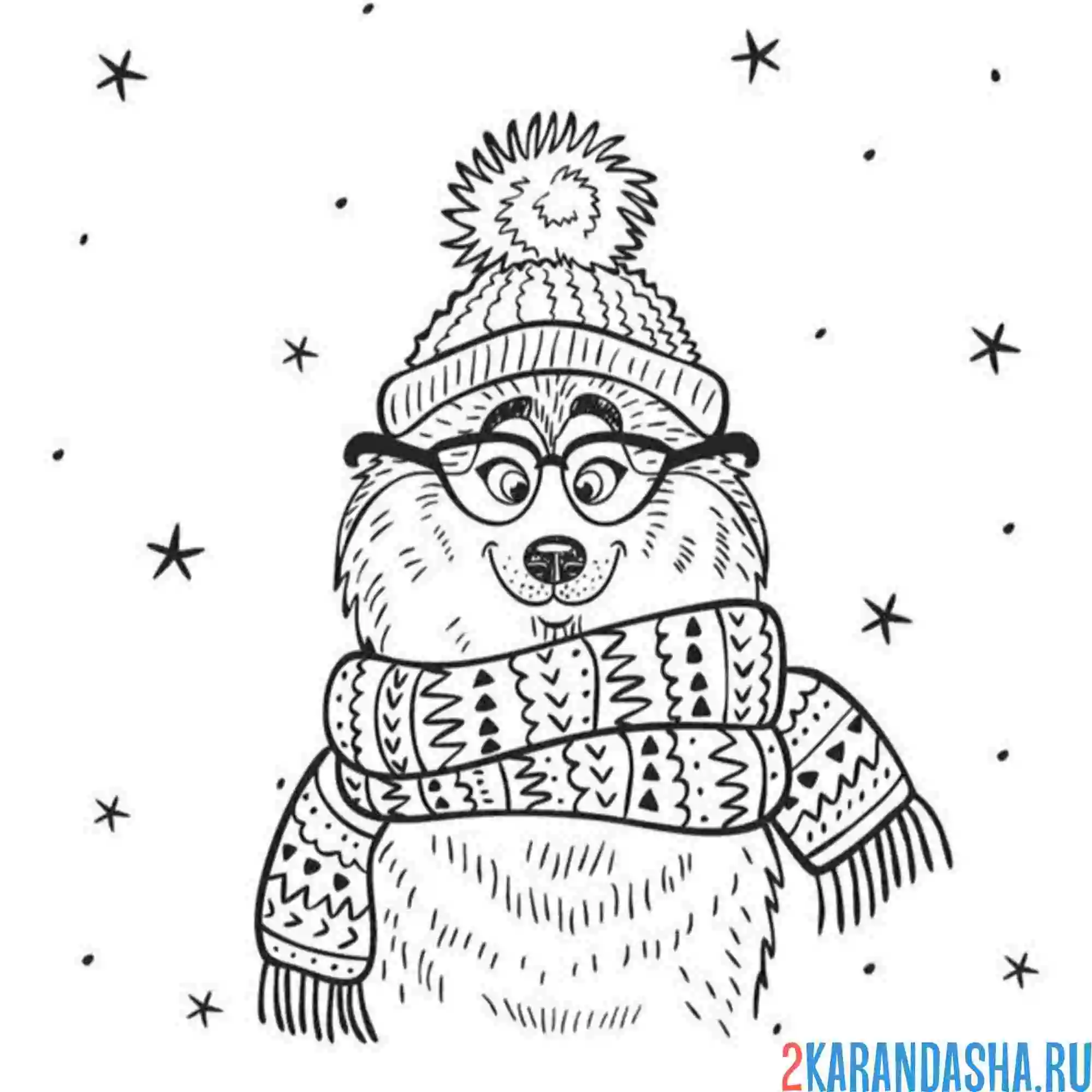 Раскраска хаски в шарфе