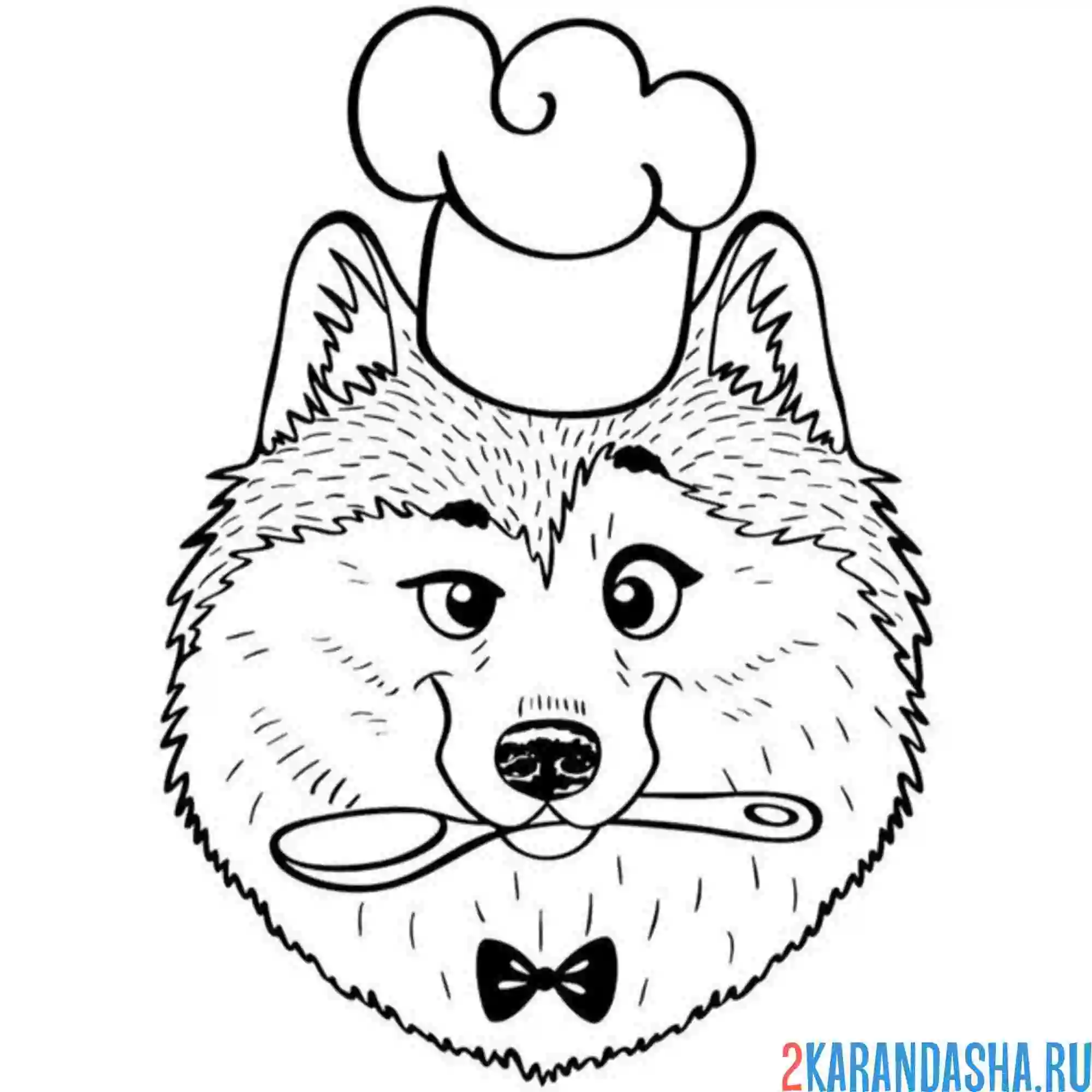 Раскраска хаски повар