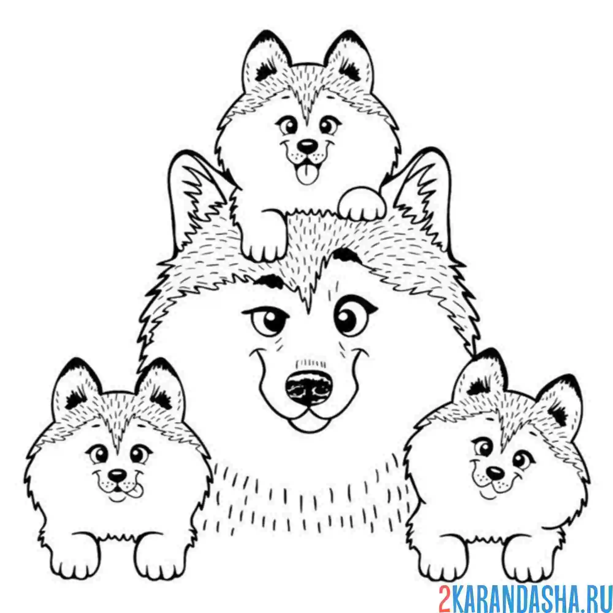 Раскраска хаски и малыши