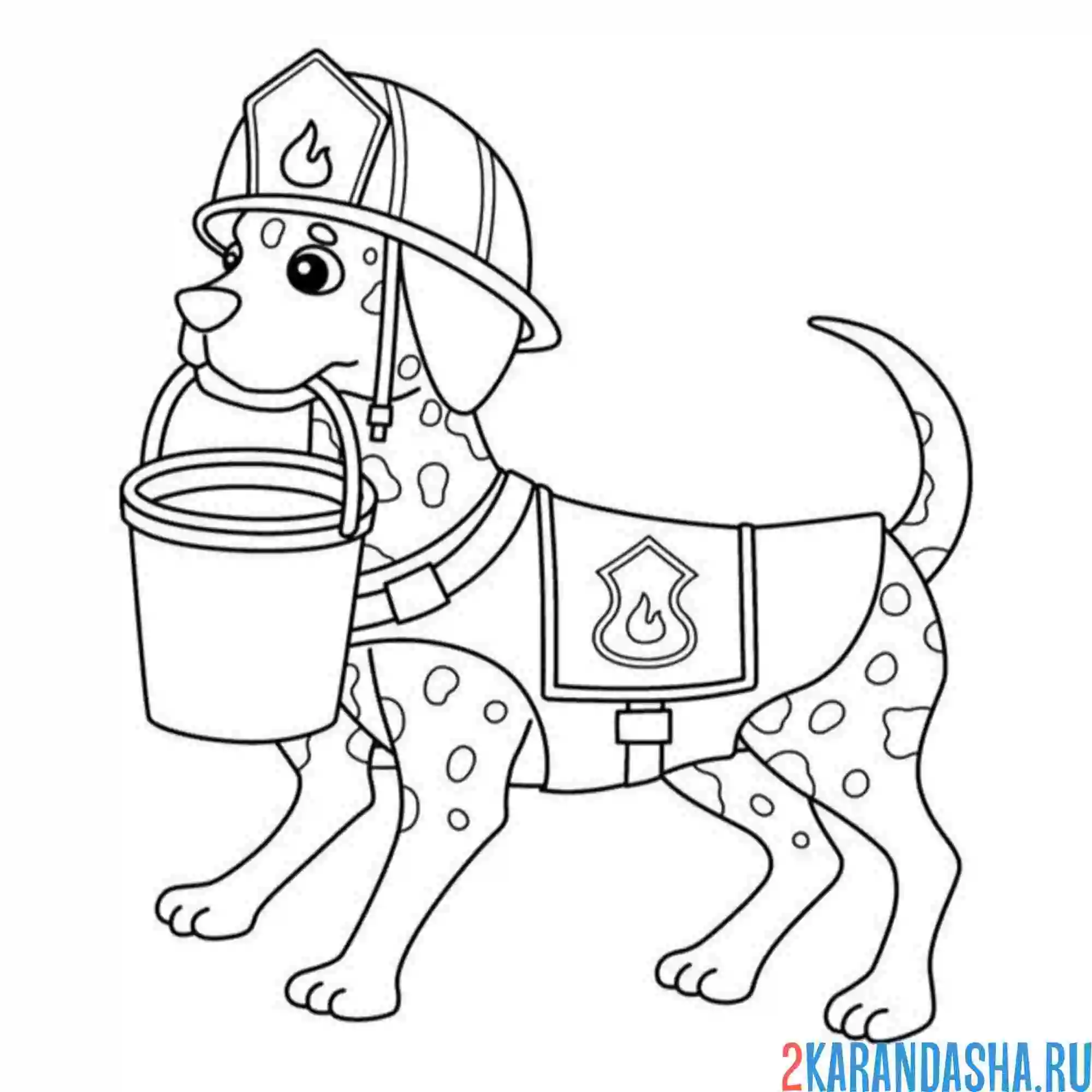 Раскраска далматин пожарный