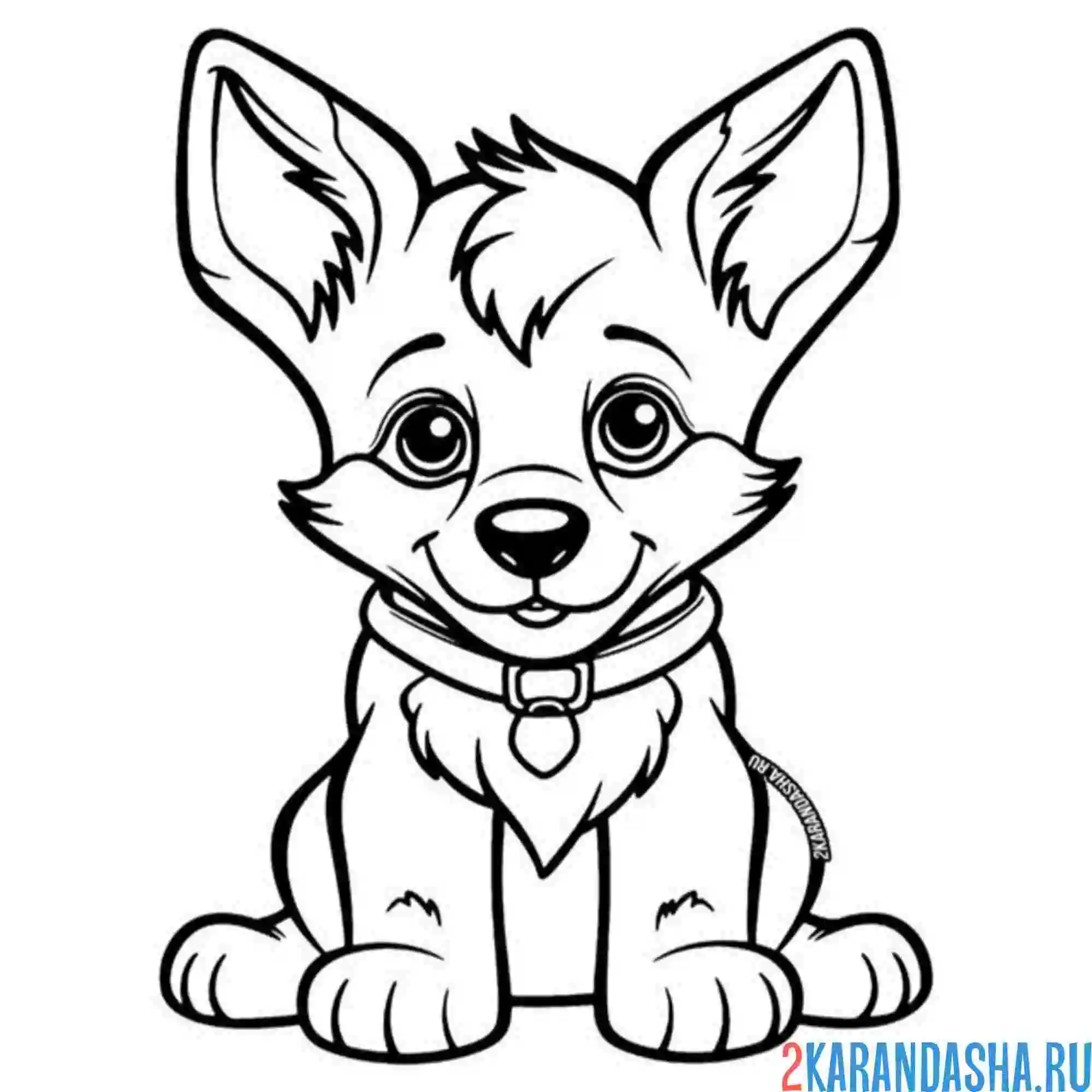 Раскраска милый щенок хаски