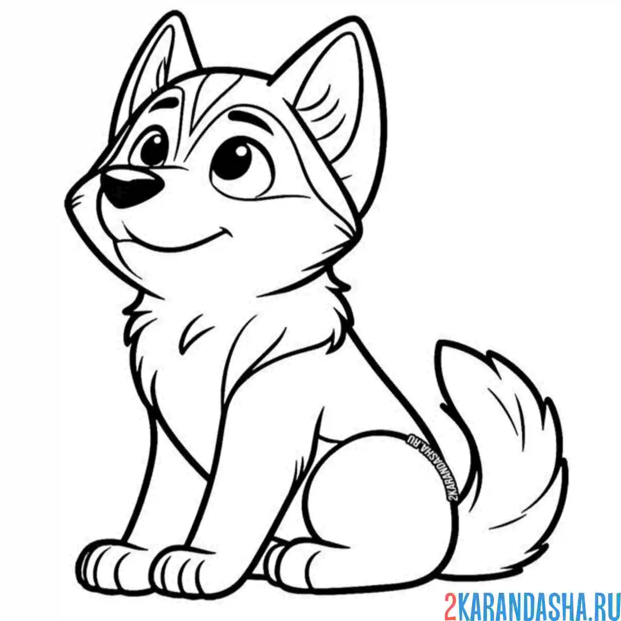 Раскраска прекрасный щенок хаски