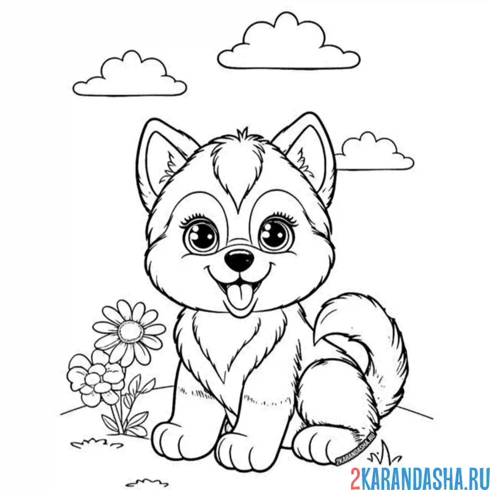 Раскраска мягкий пушистый щенок хаски