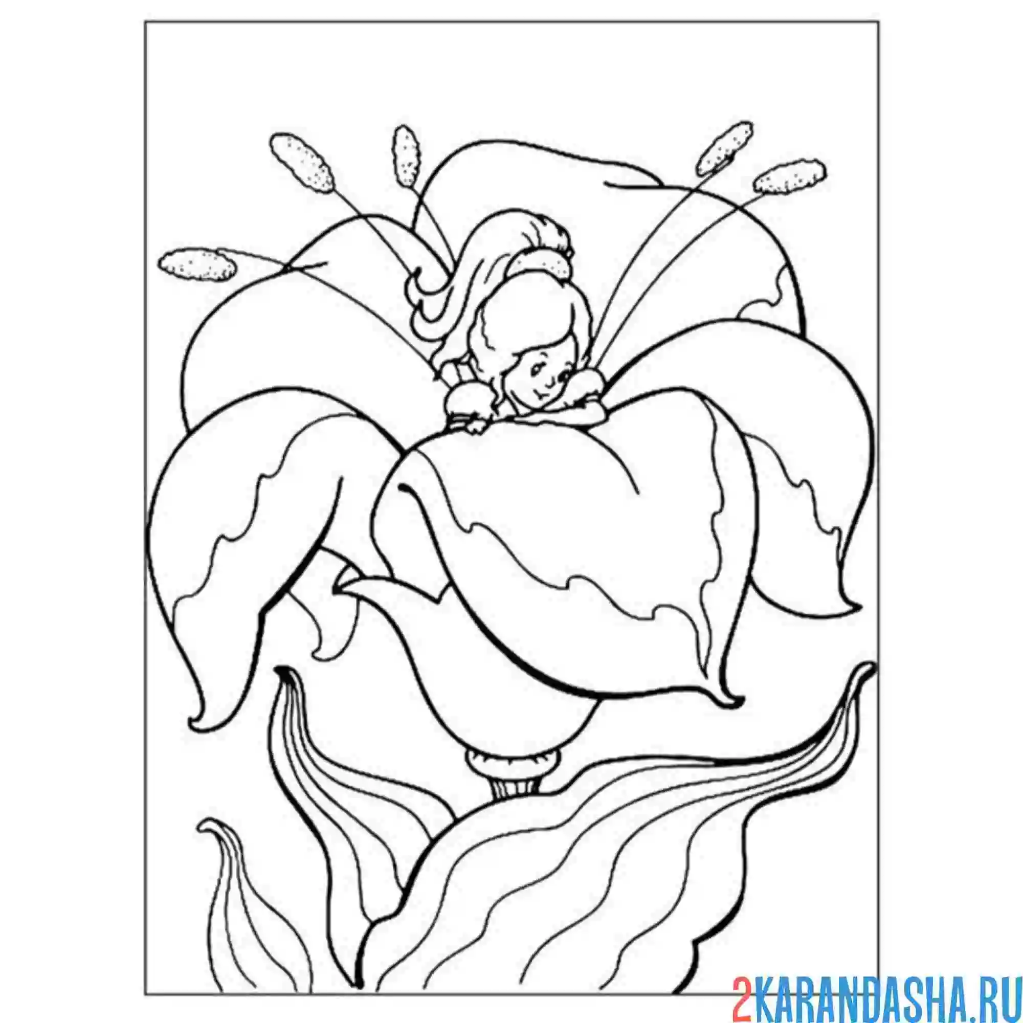 Раскраска дюймовочка проснулась в цветке