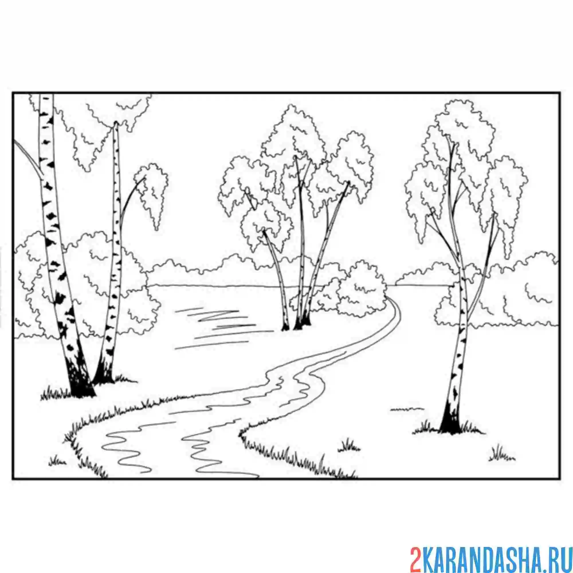 Раскраска река и березы