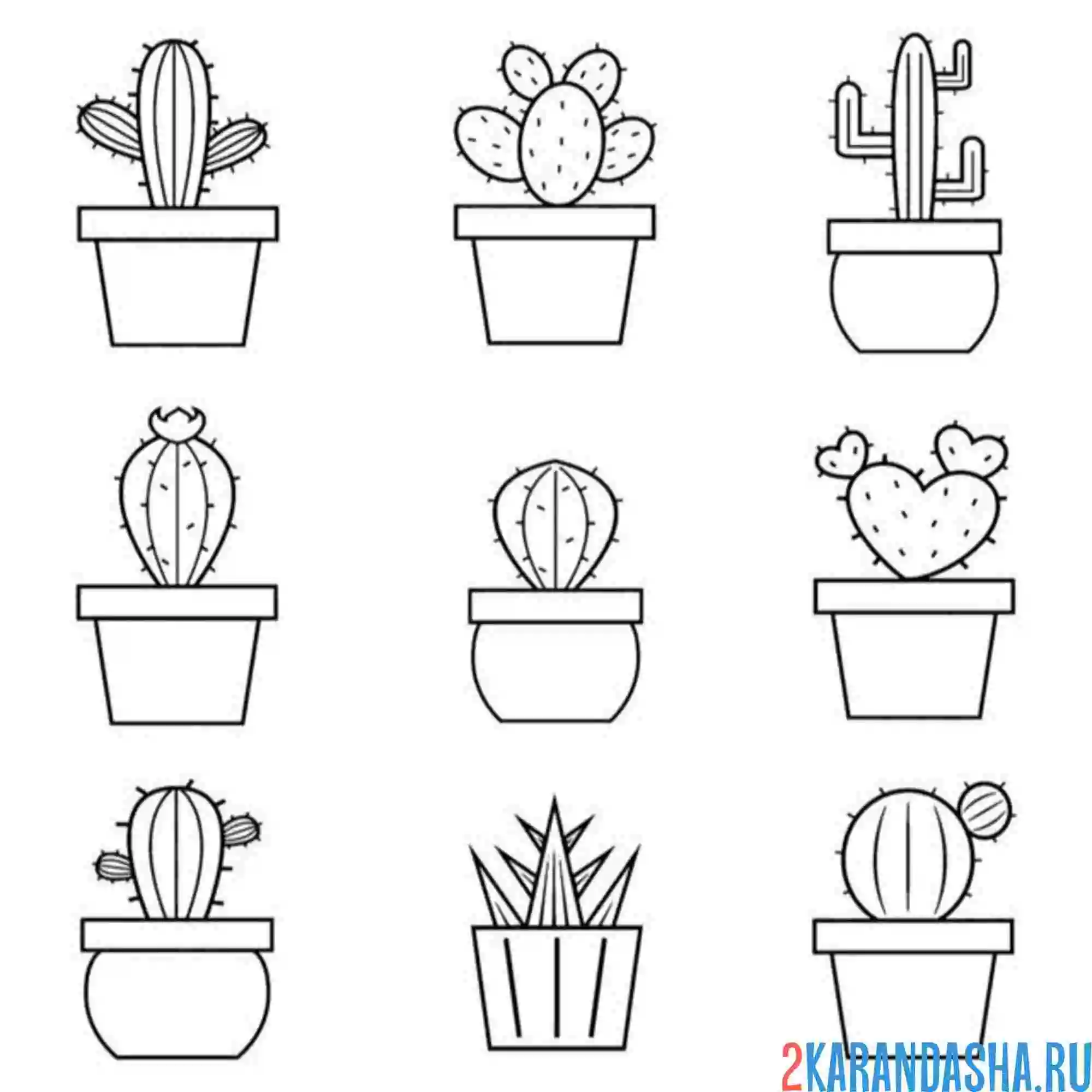 Раскраска кактусы в горшке