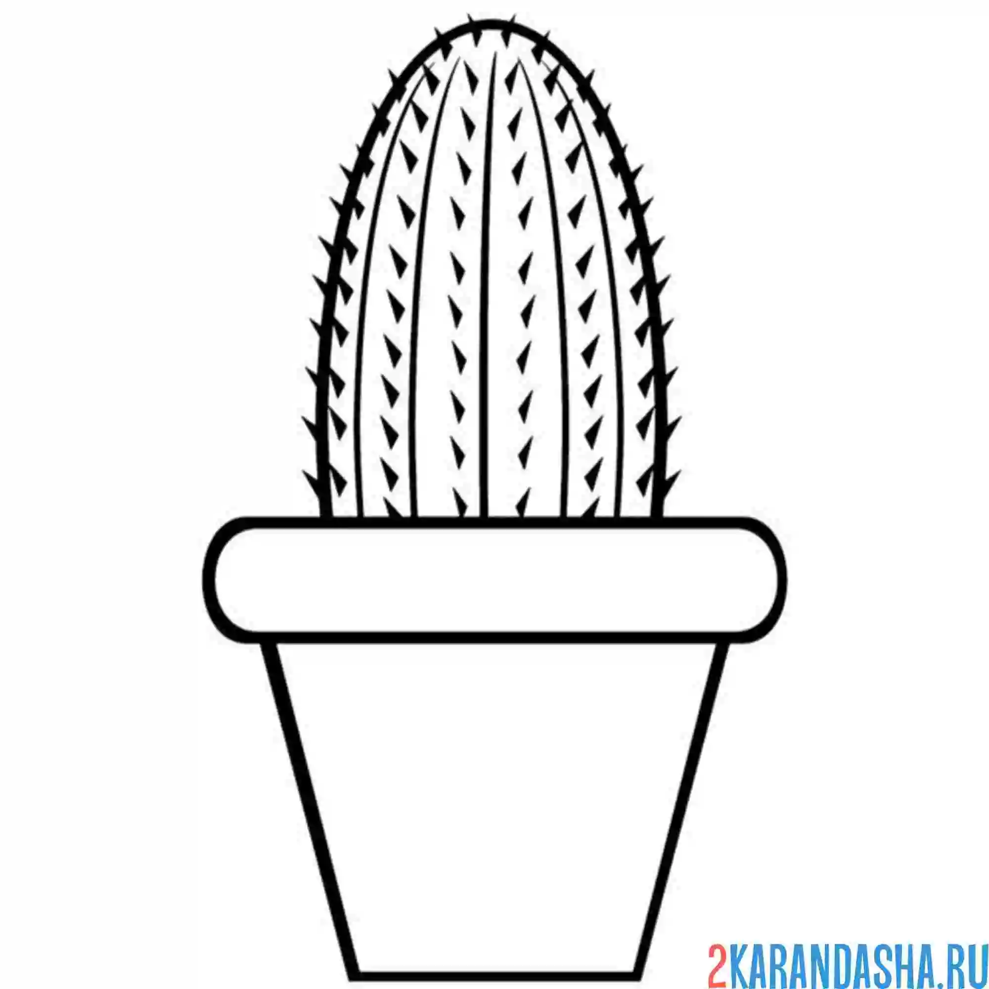 Раскраска колючий кактус и горшок