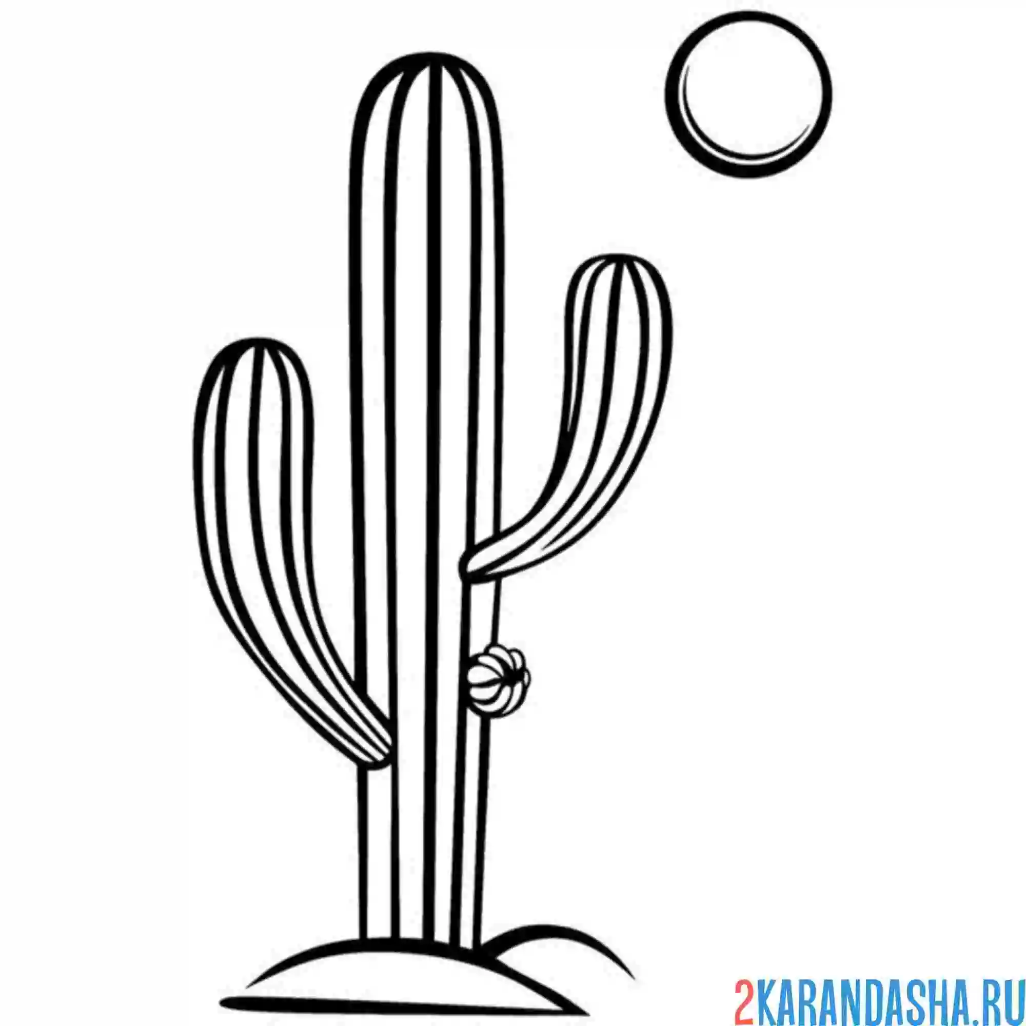 Раскраска одинокий кактус в пустыне