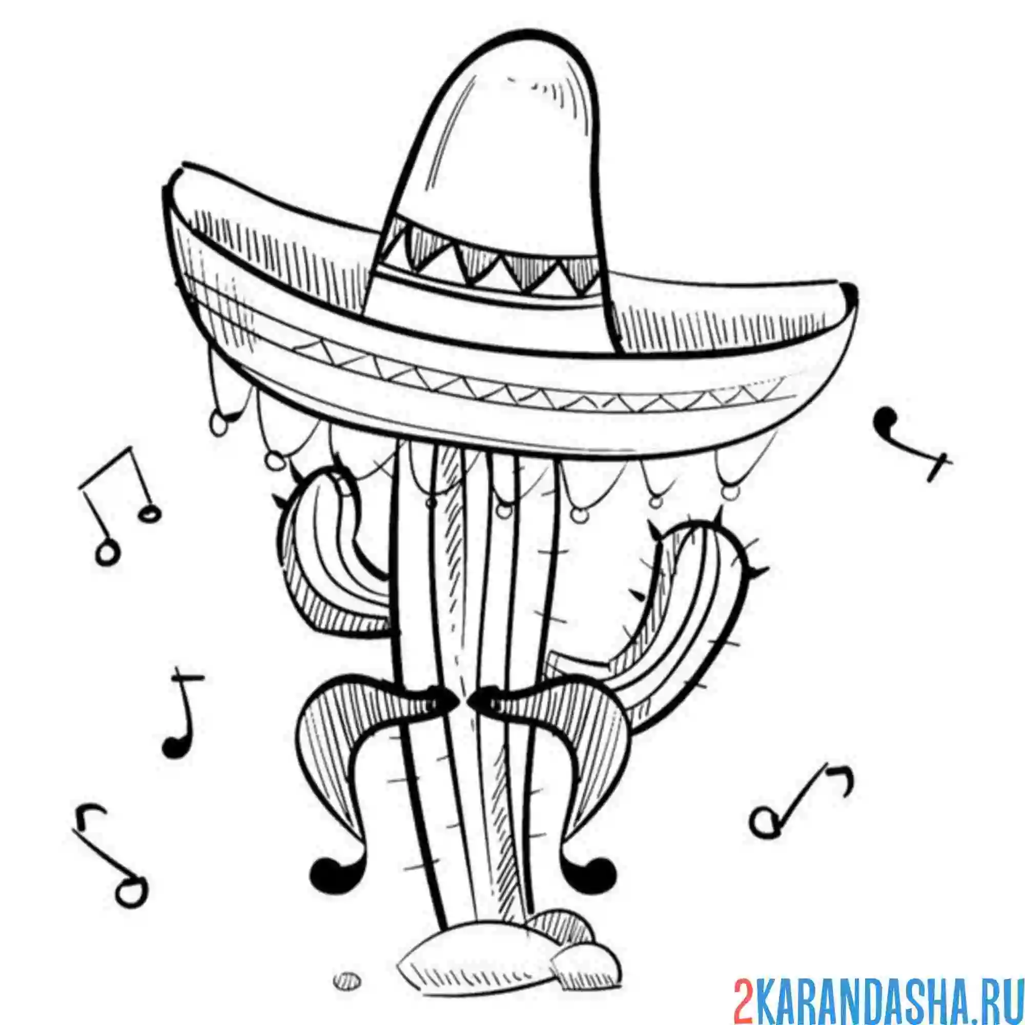 Раскраска кактус из мексики