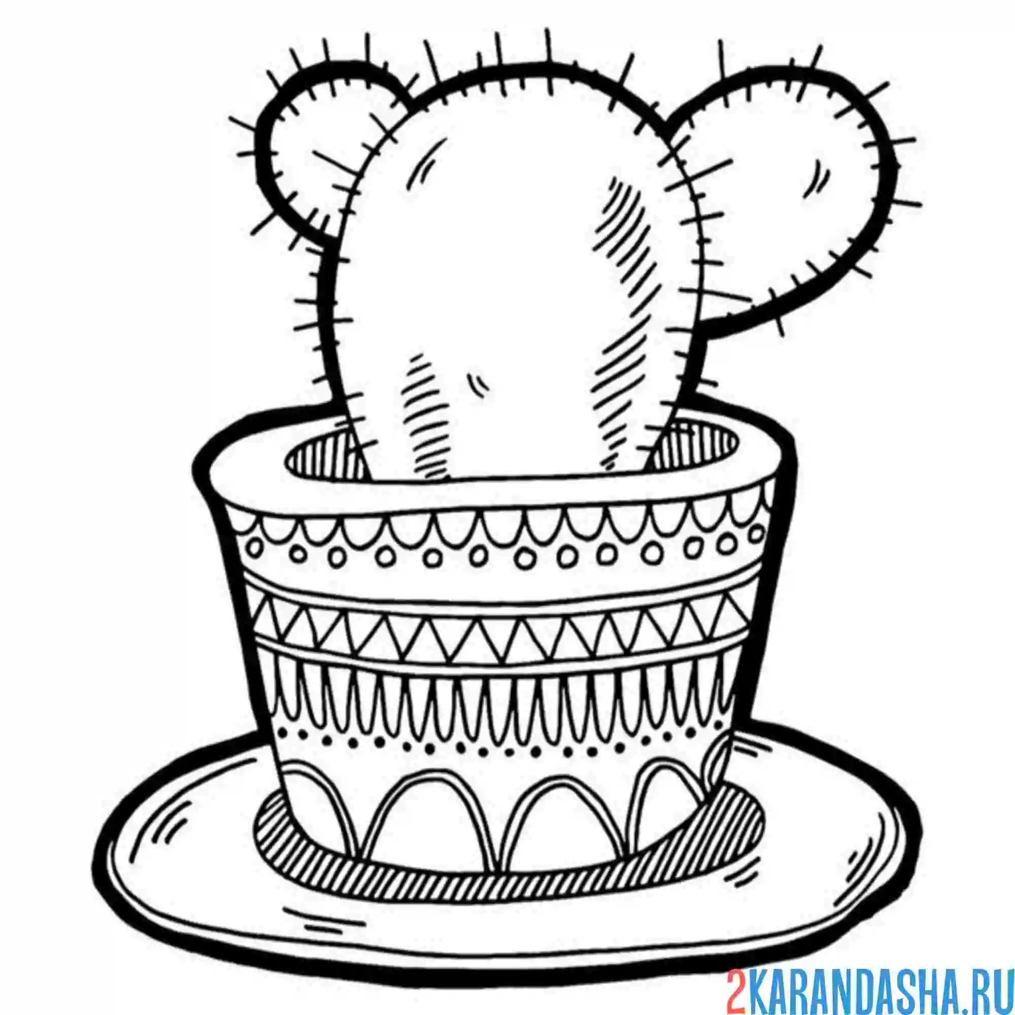 Раскраска кактус в цветном горшке