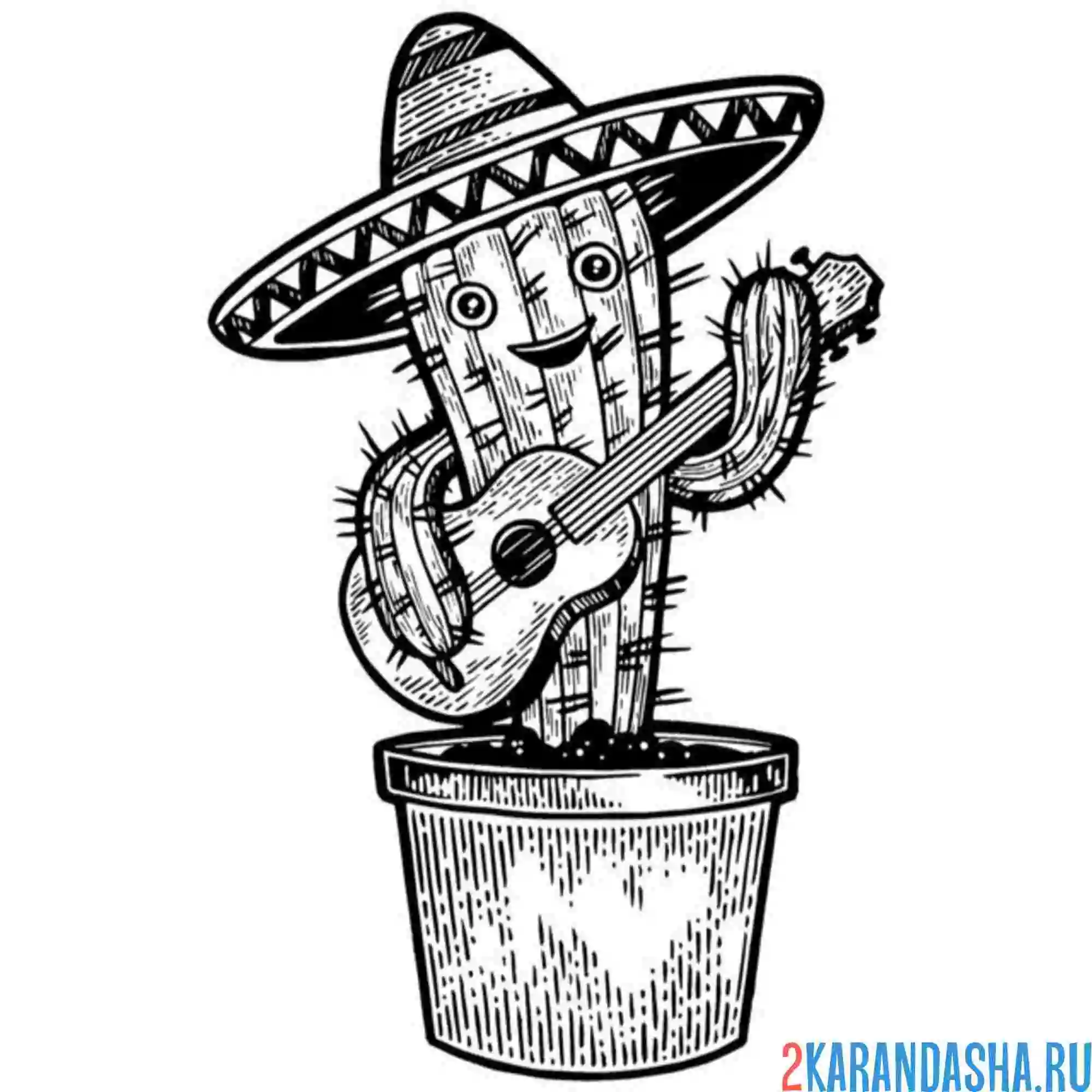 Раскраска кактус мексиканский