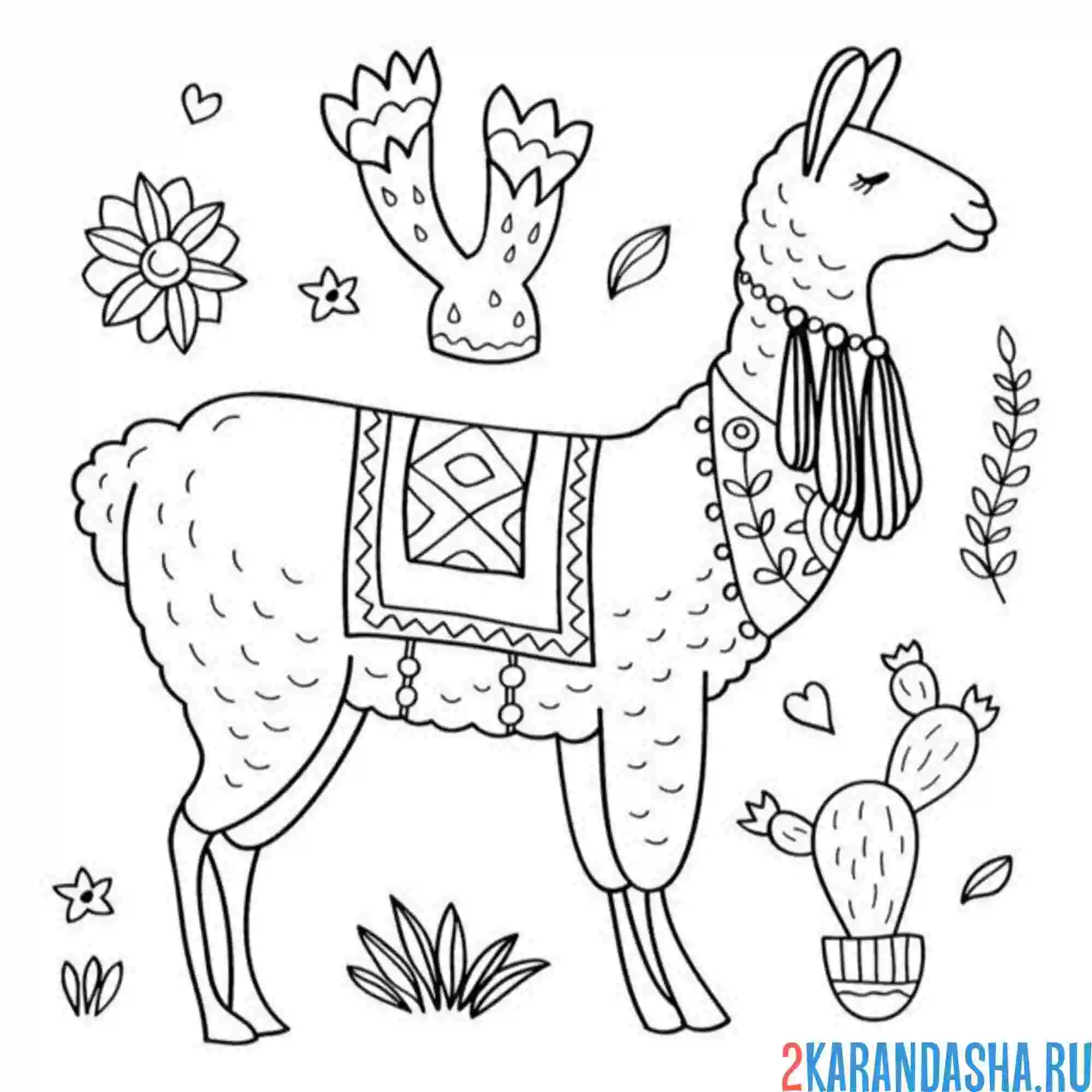 Раскраска лама и кактусы