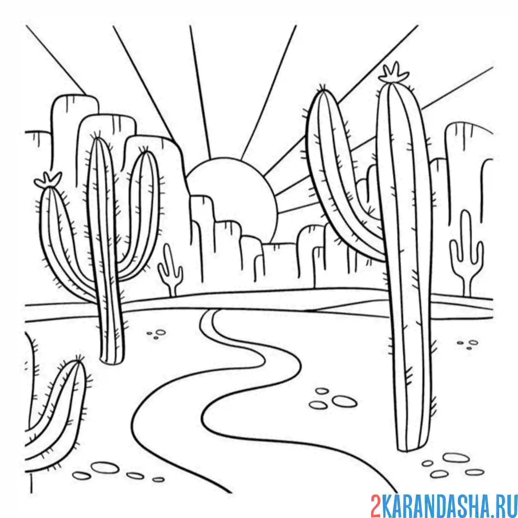 Раскраска закат и кактус