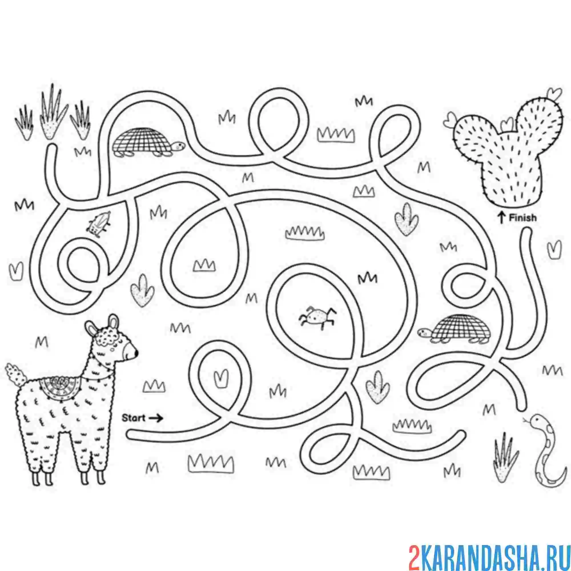 Раскраска лабиринт и кактус