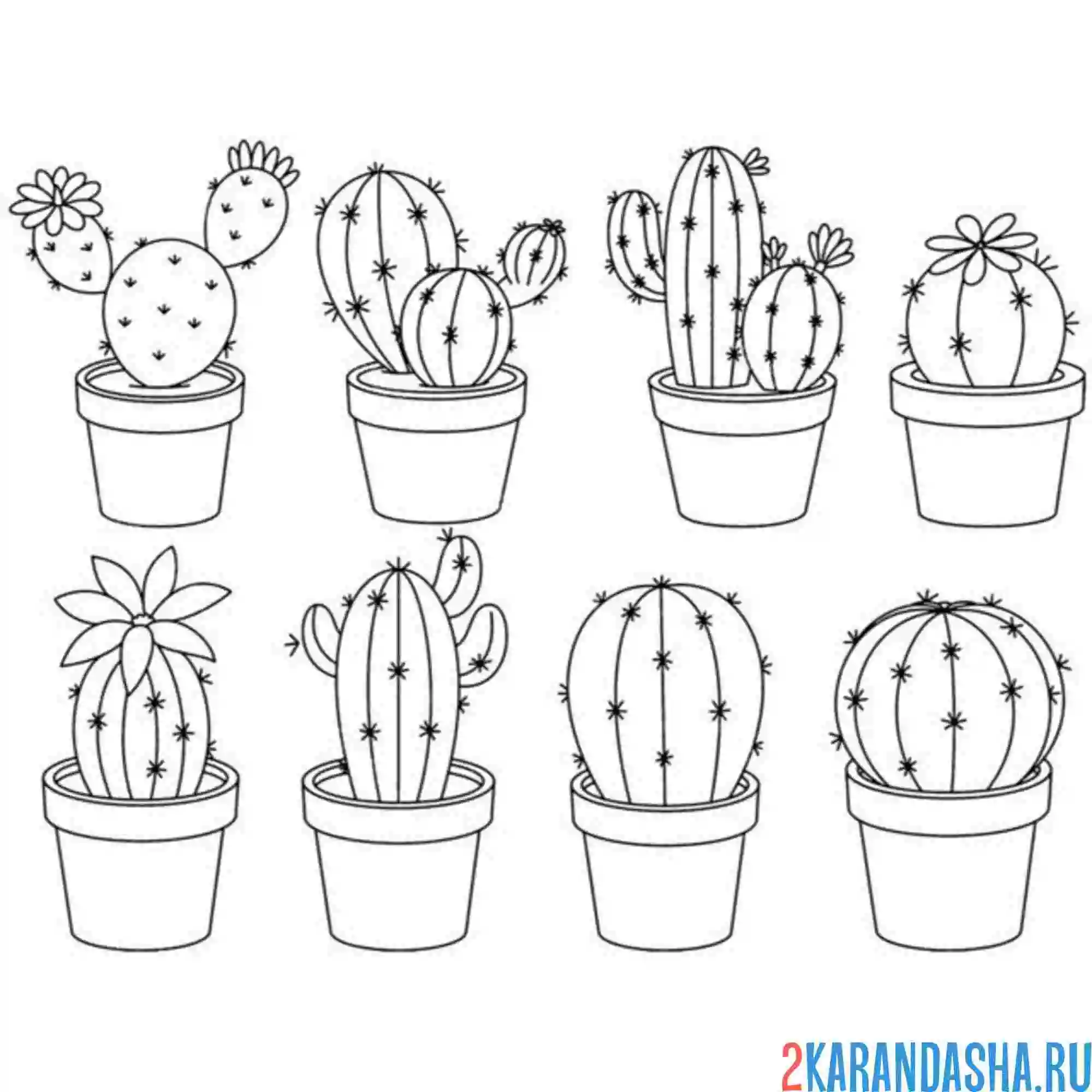 Раскраска кактусы в горшочках