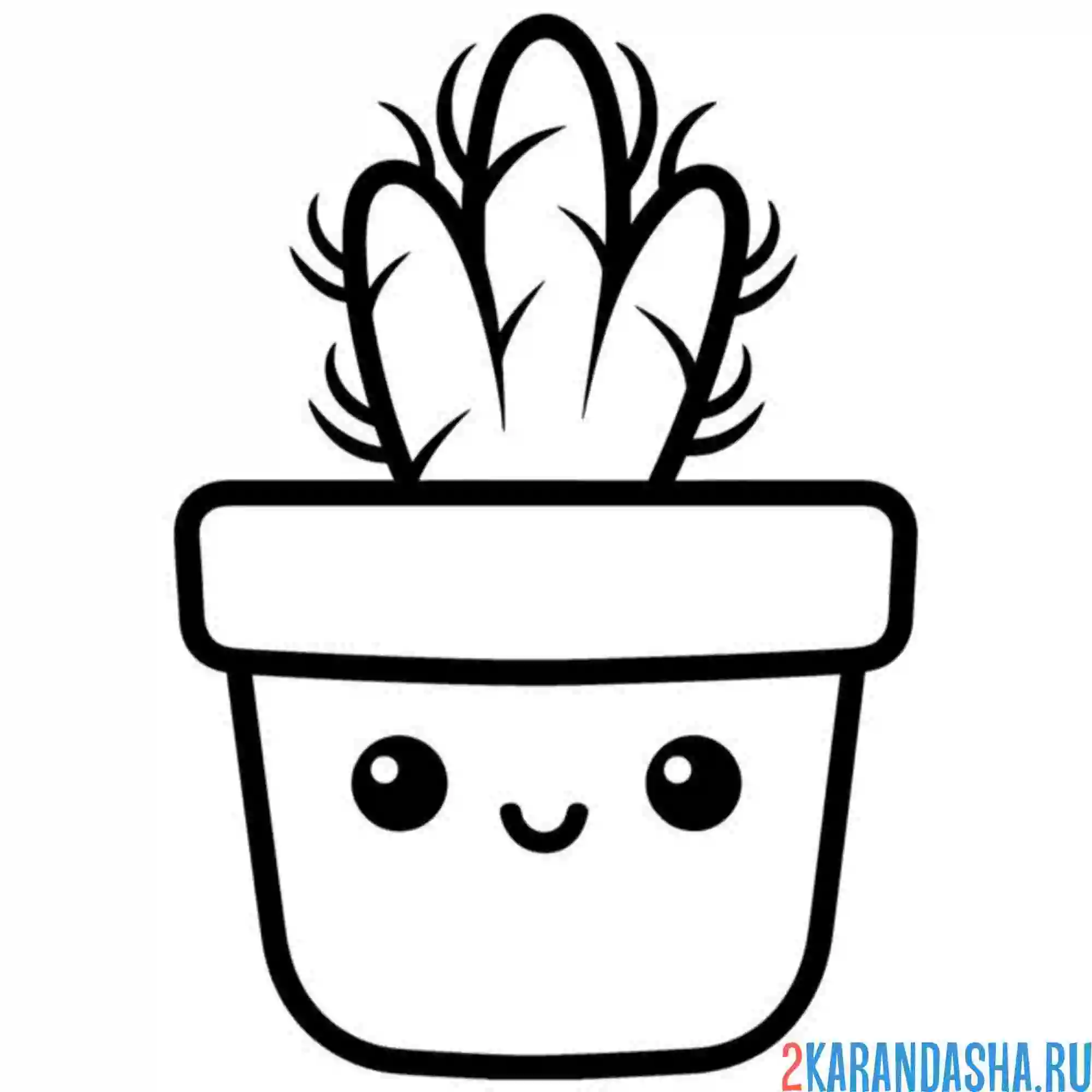 Раскраска маленький кактусик