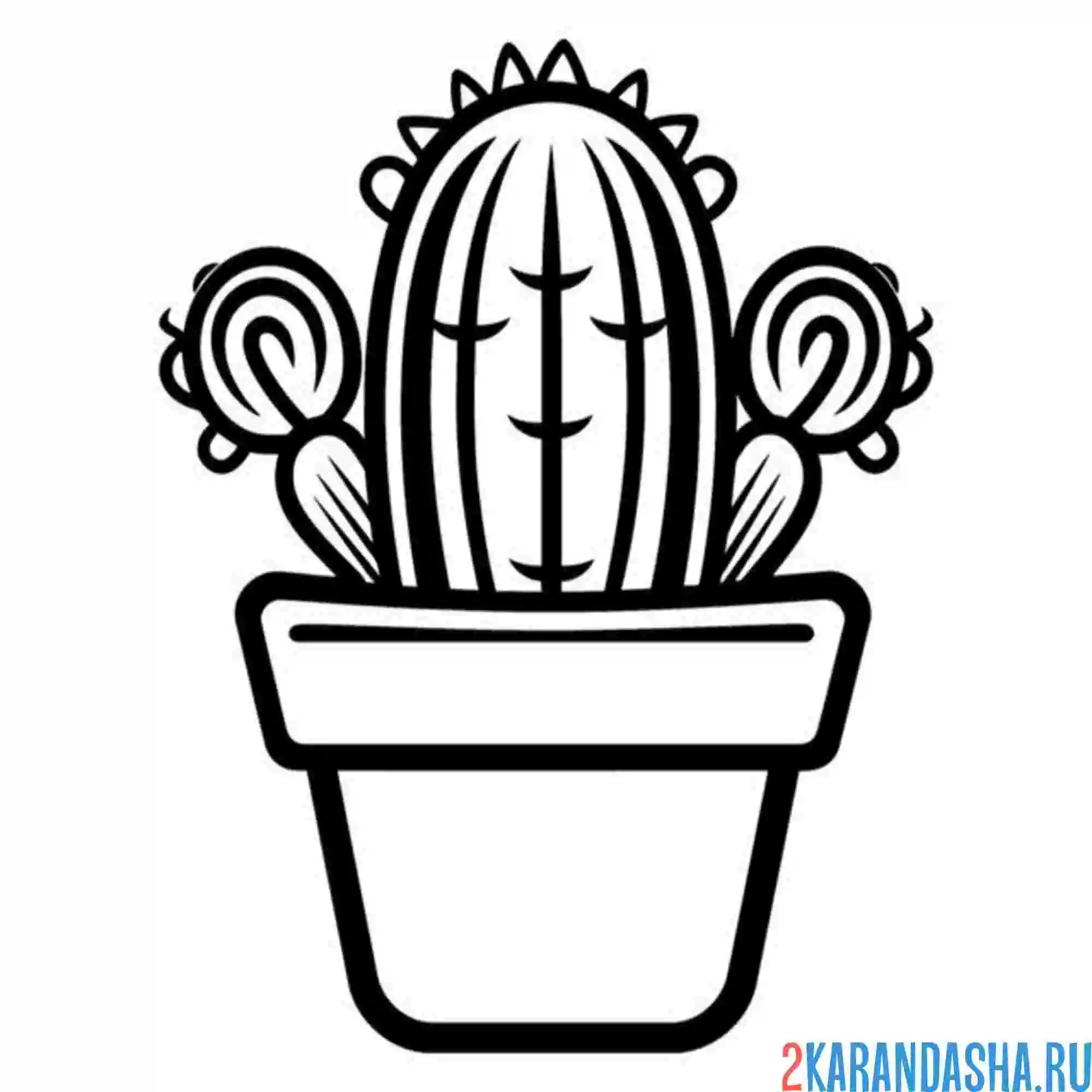 Раскраска кактус с леденцами