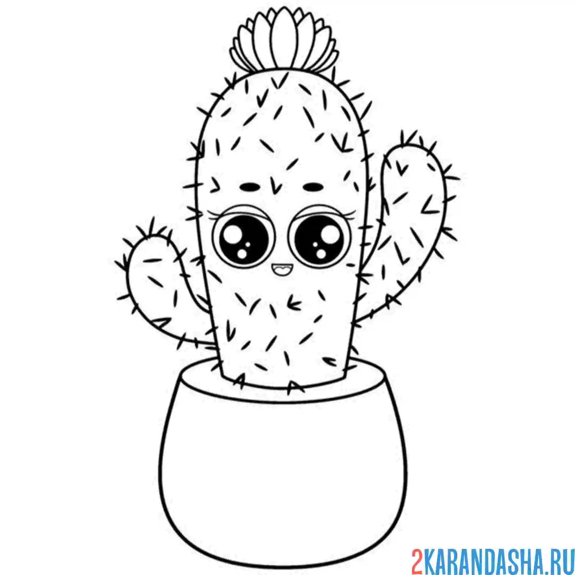 Раскраска большие глазки у кактуса