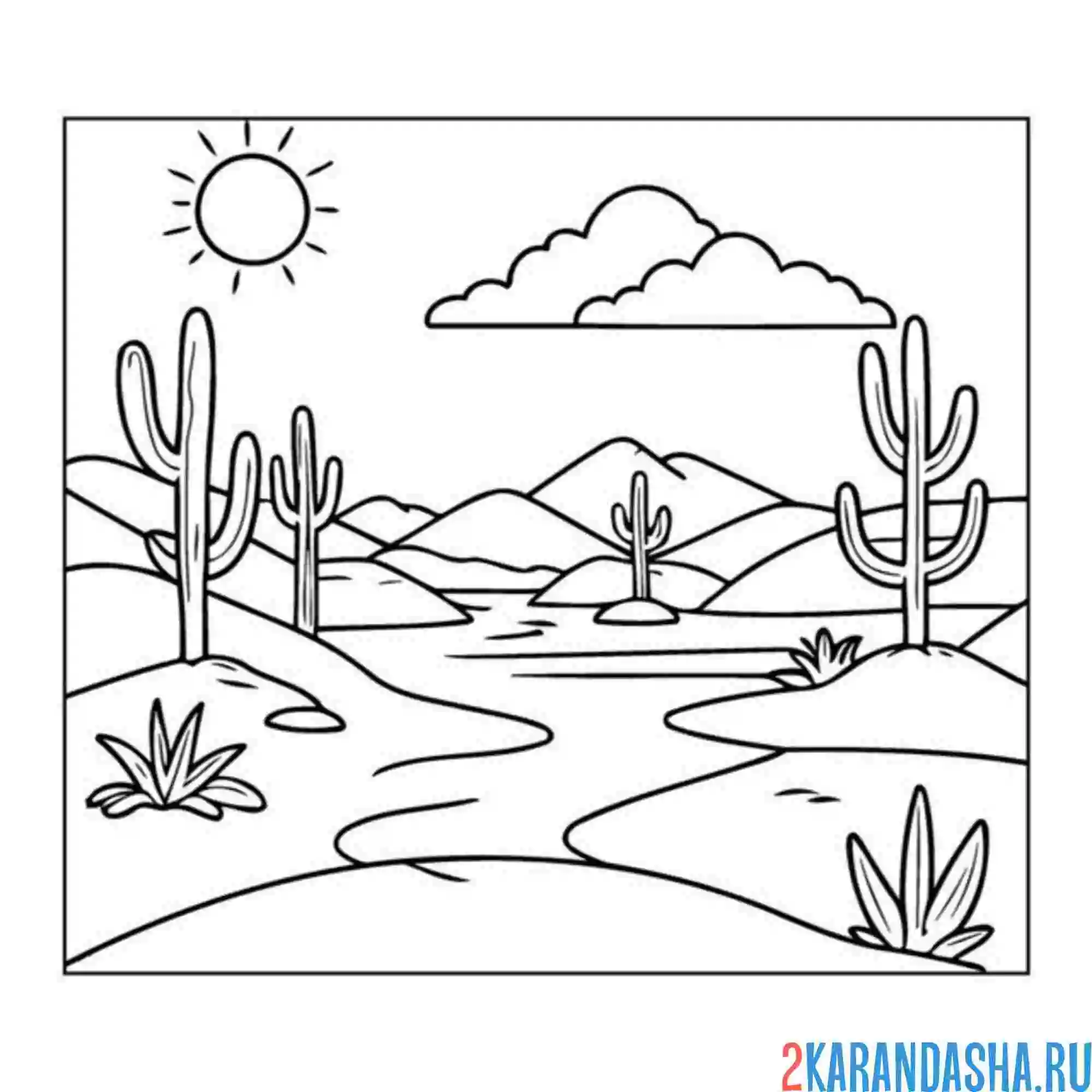 Раскраска пустыня и кактусы