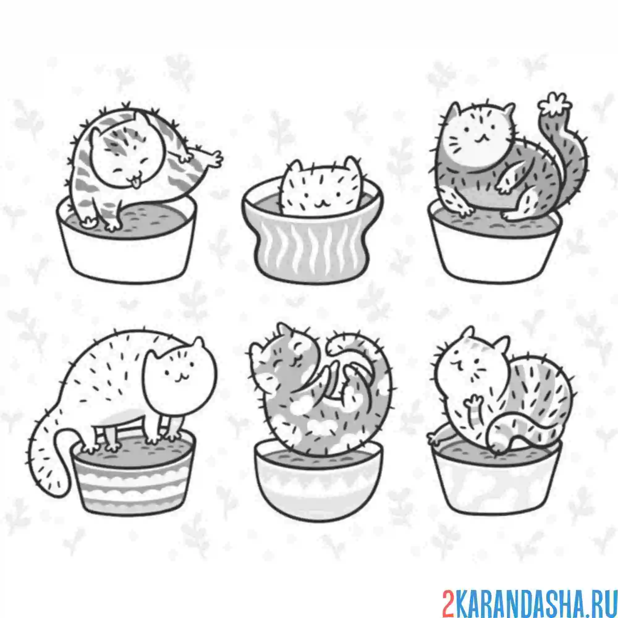 Раскраска кото-кактусы милые