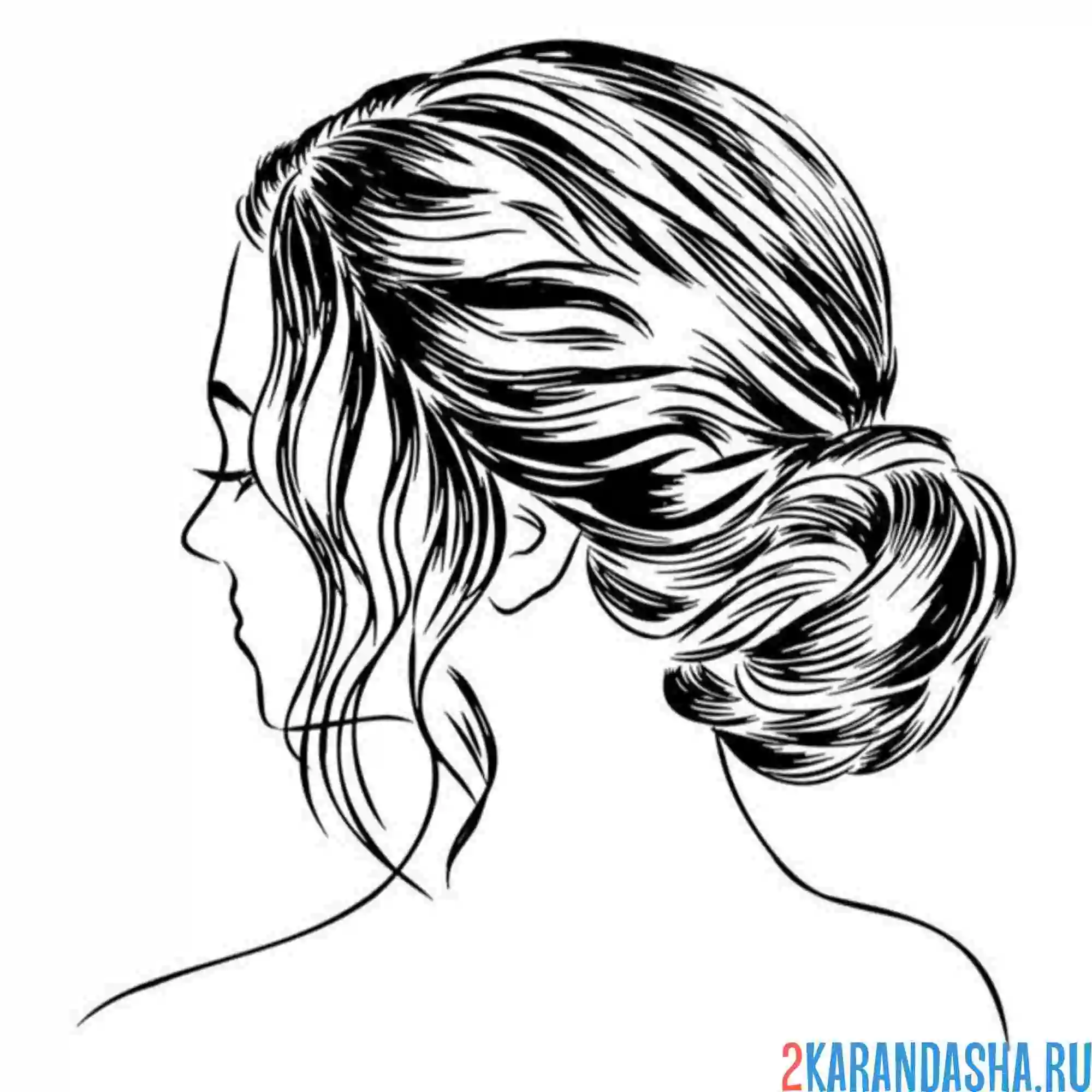 Раскраска пучок внизу волосы прическа волосы
