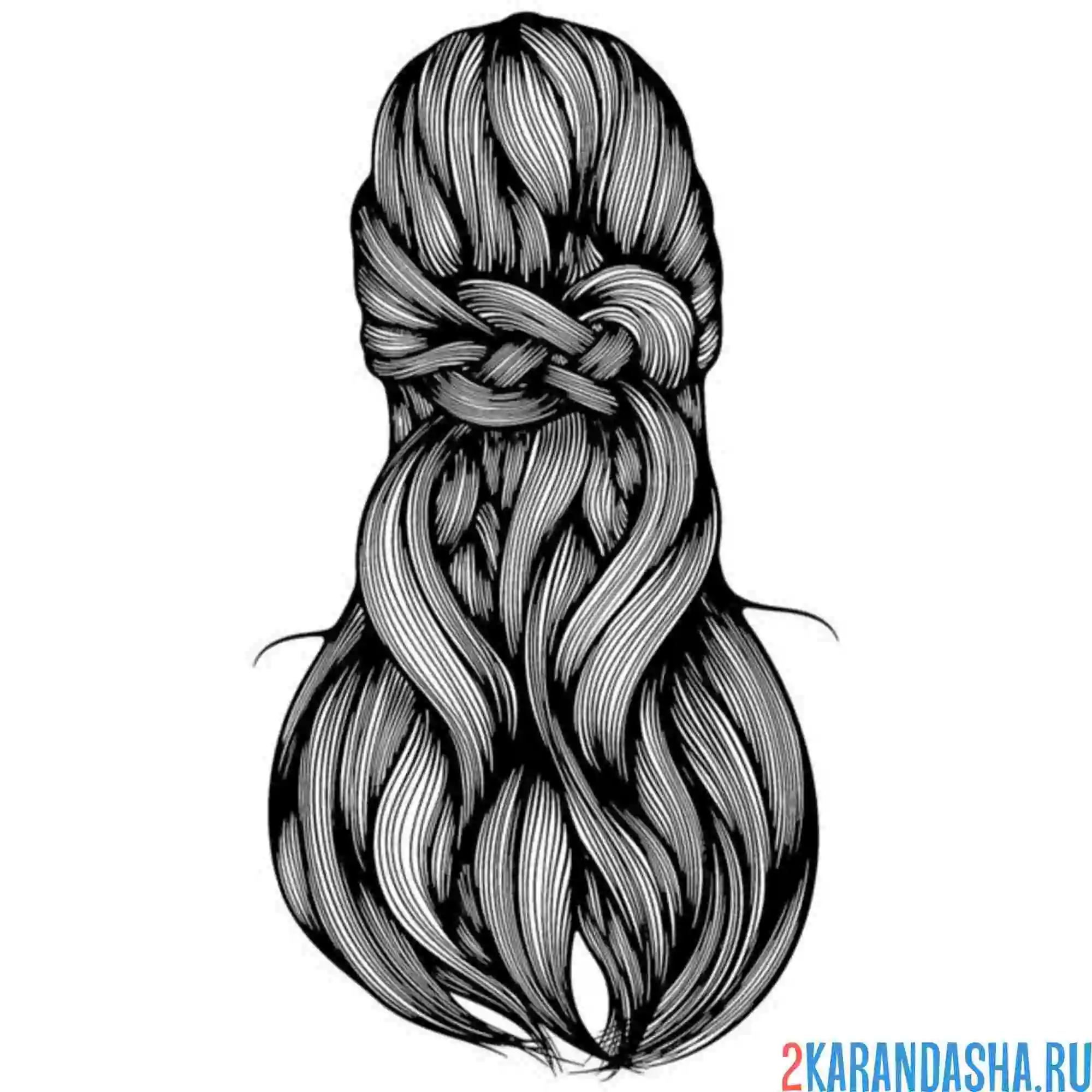 Раскраска длинные волосы девушка прическа волосы