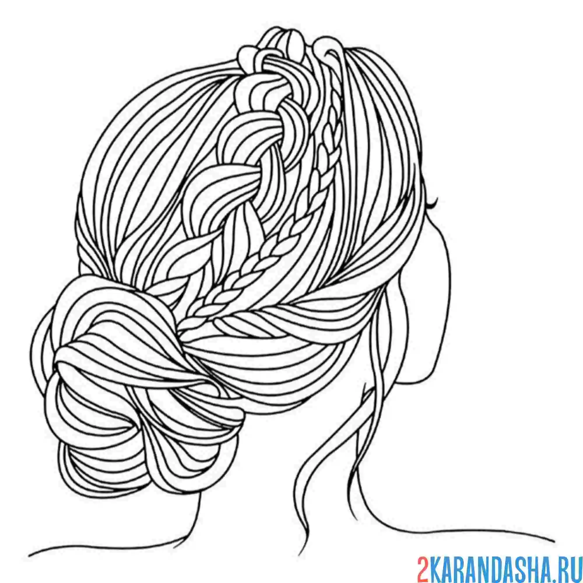 Раскраска прическа сзади пучок без лица