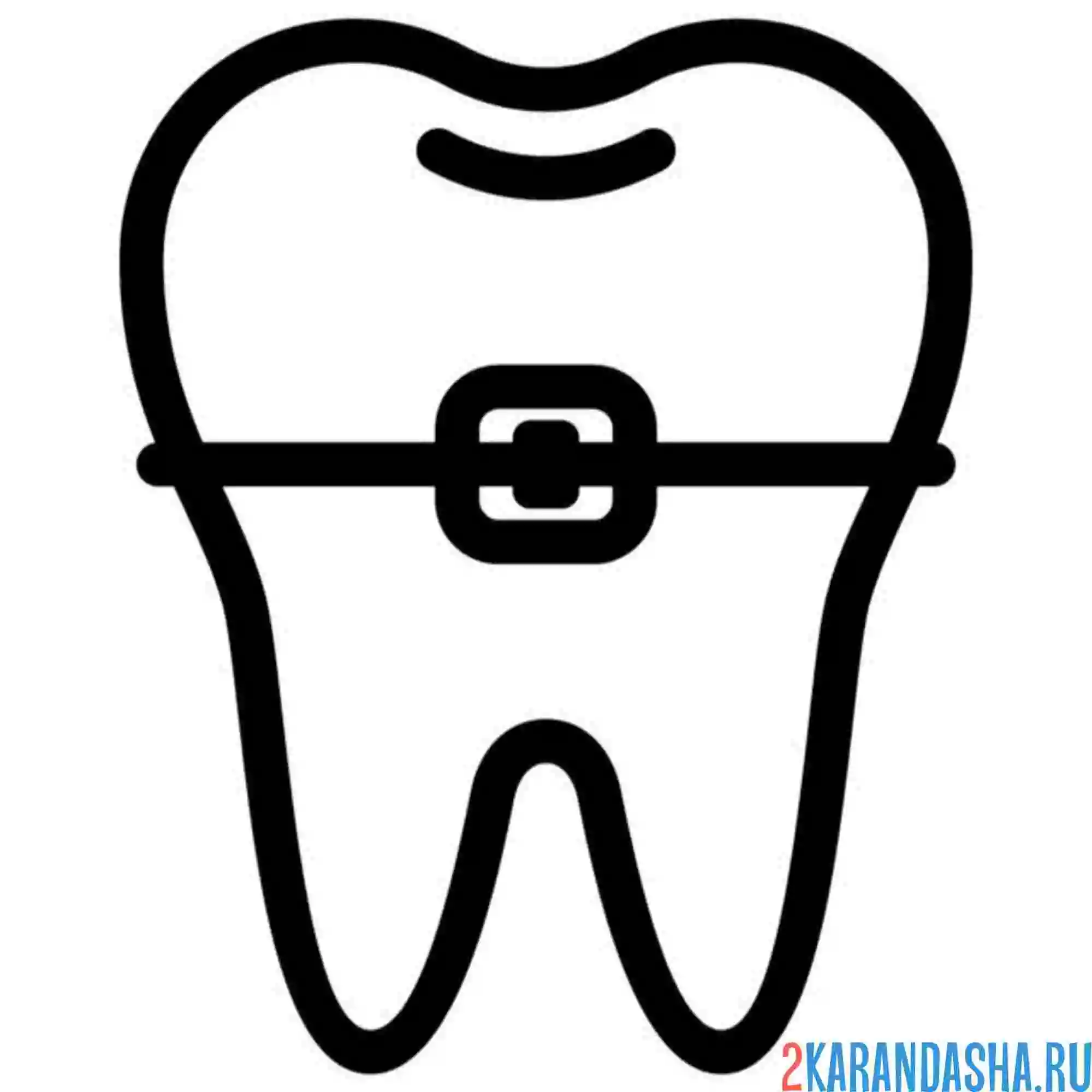 Раскраска зуб с брекетами