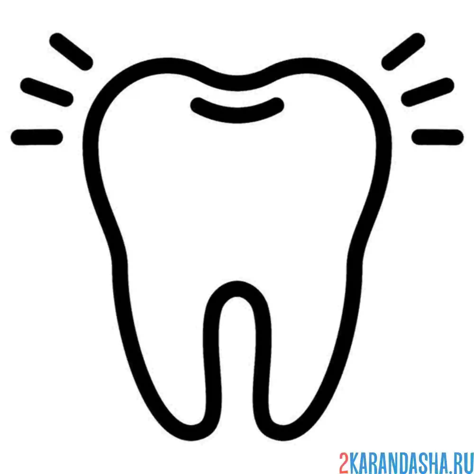 Раскраска здоровый зуб