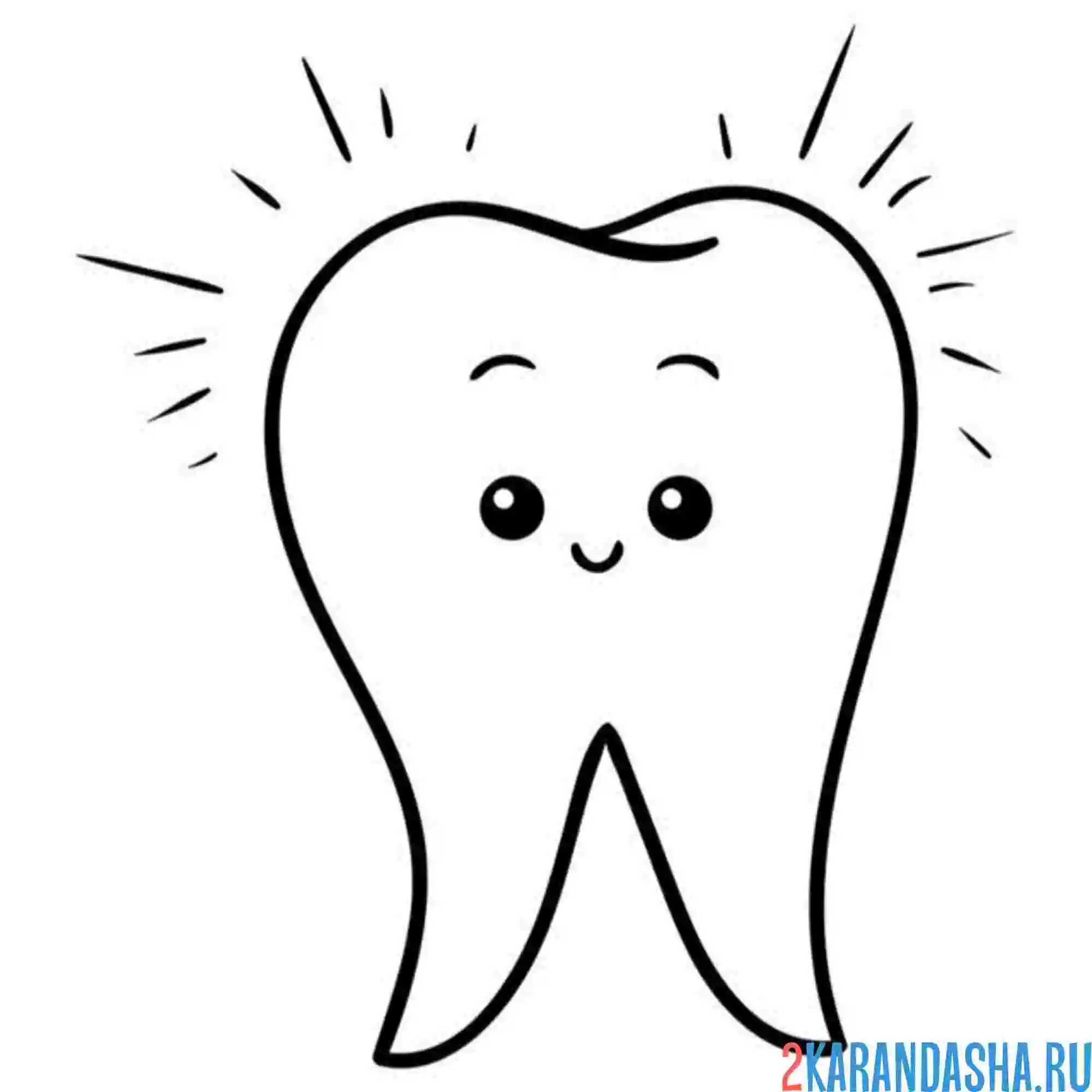 Раскраска чистый зуб
