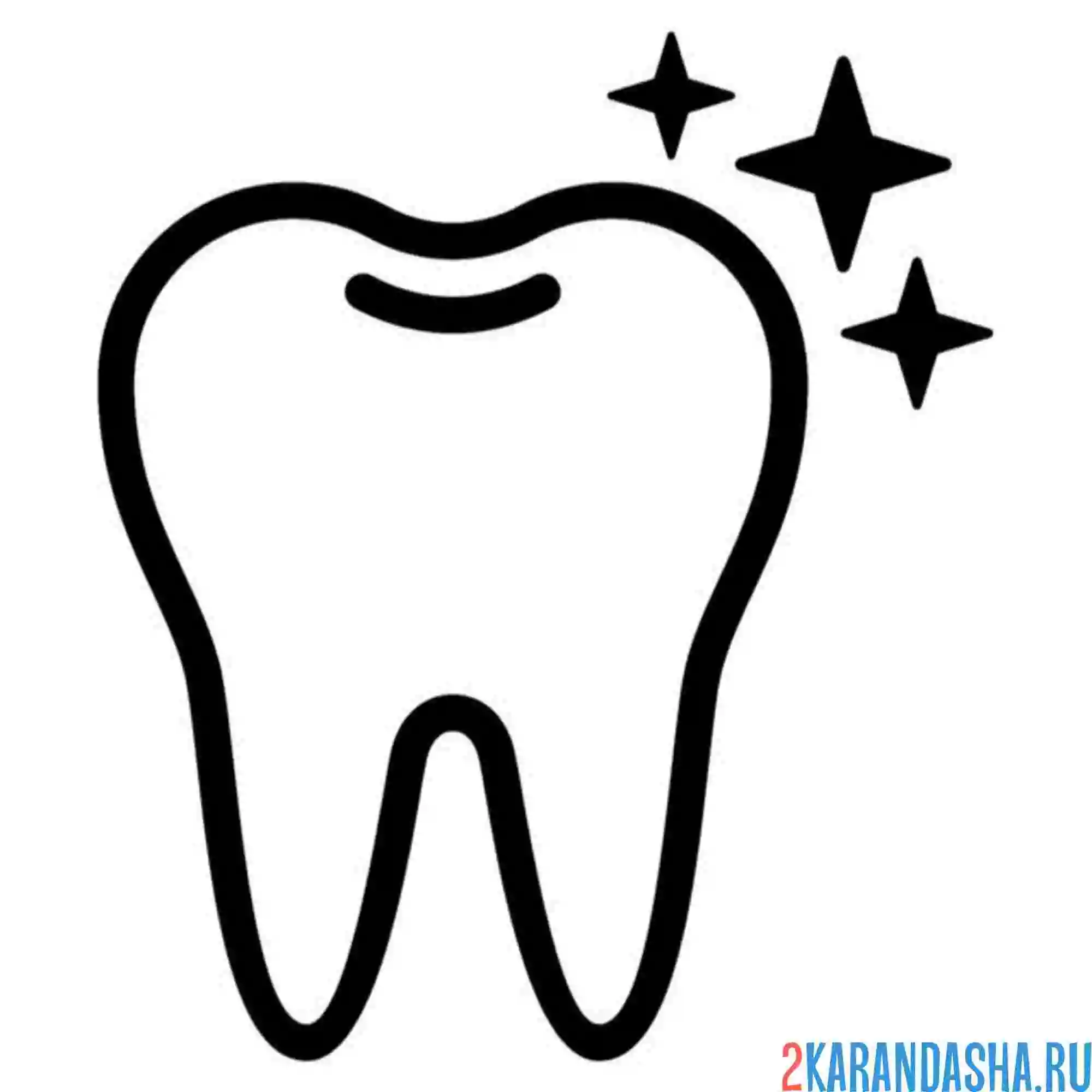 Раскраска идеальный зуб