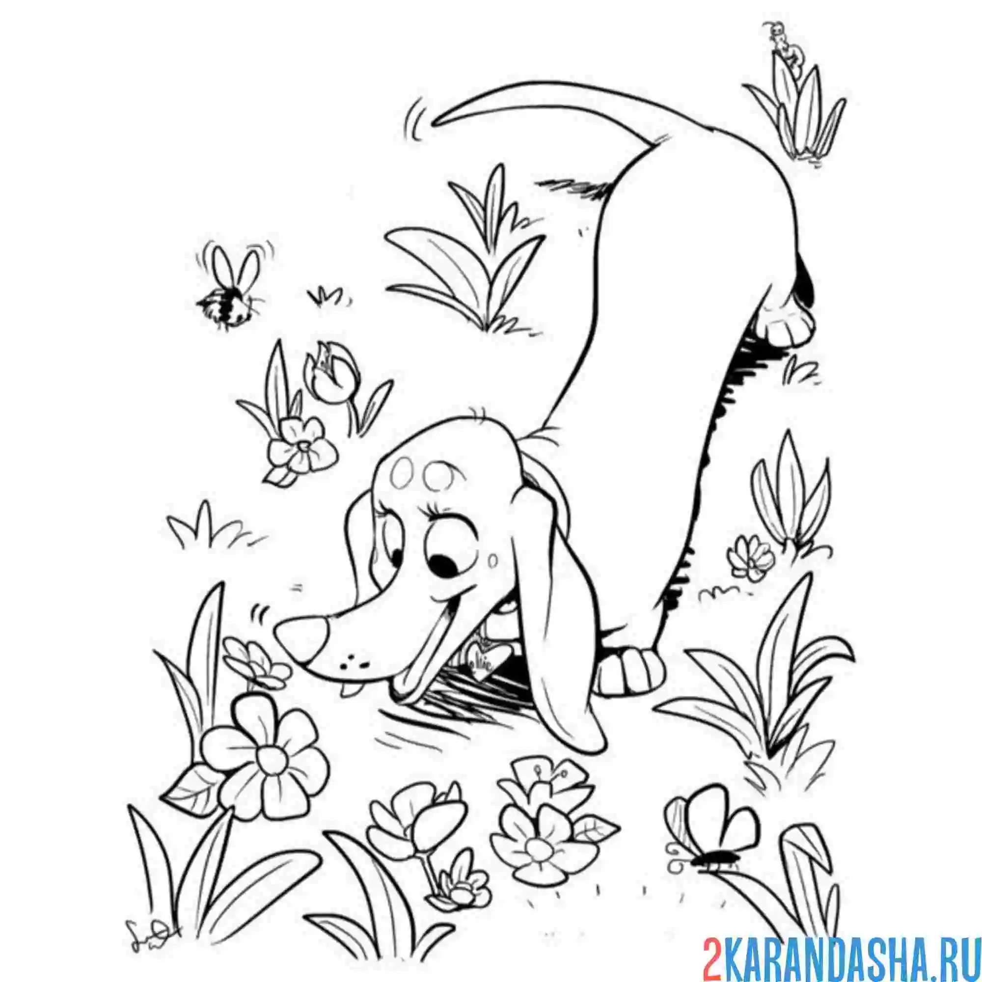 Раскраска такса девочка