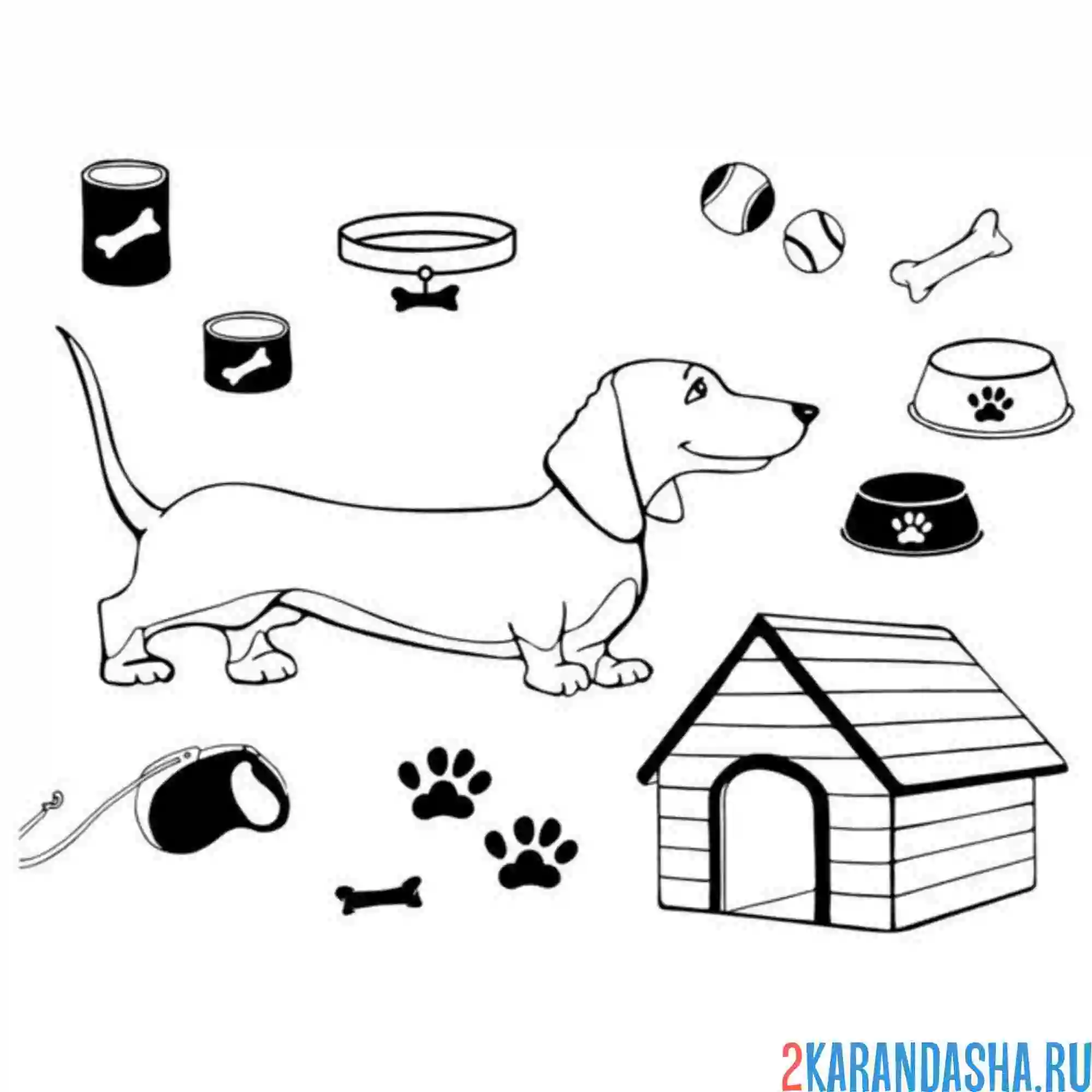 Раскраска такса и конура